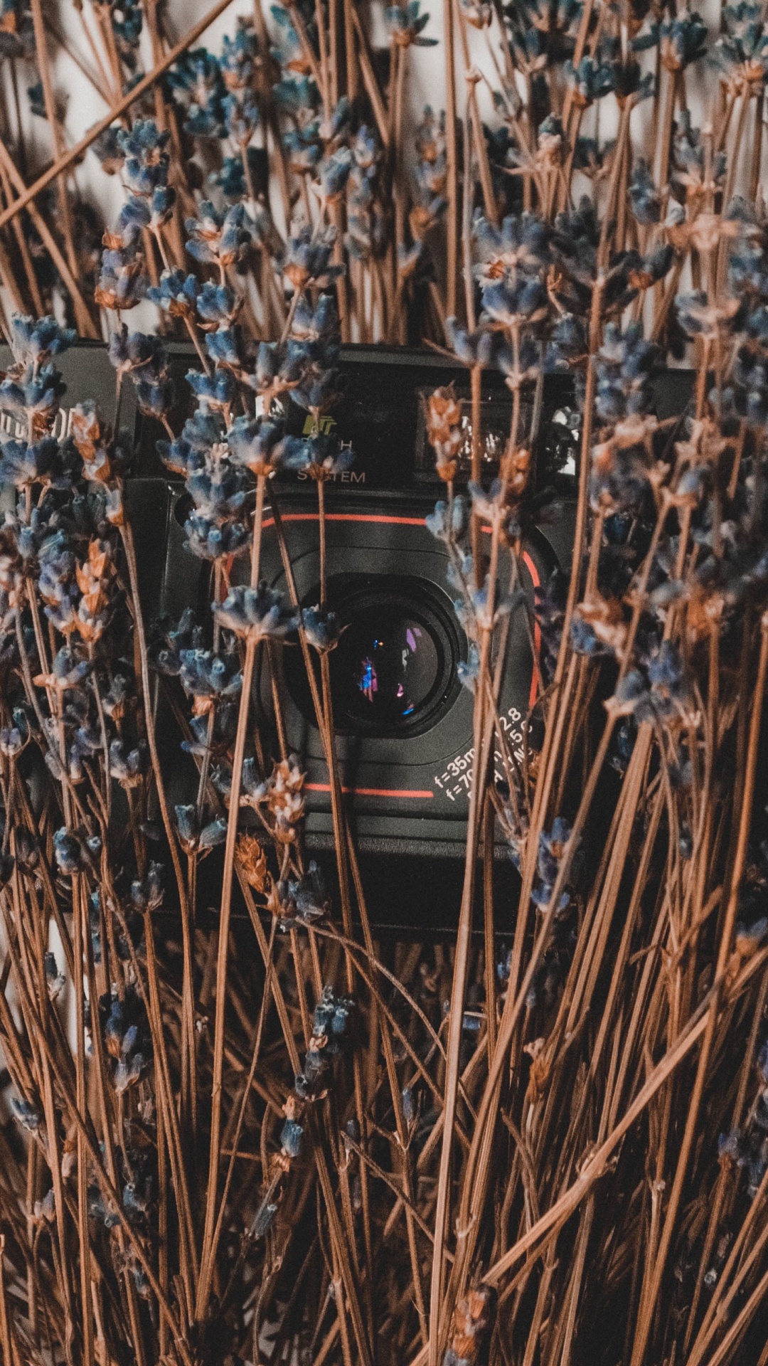 Black and Silver Camera on Brown Dried Leaves. Wallpaper in 1080x1920 Resolution