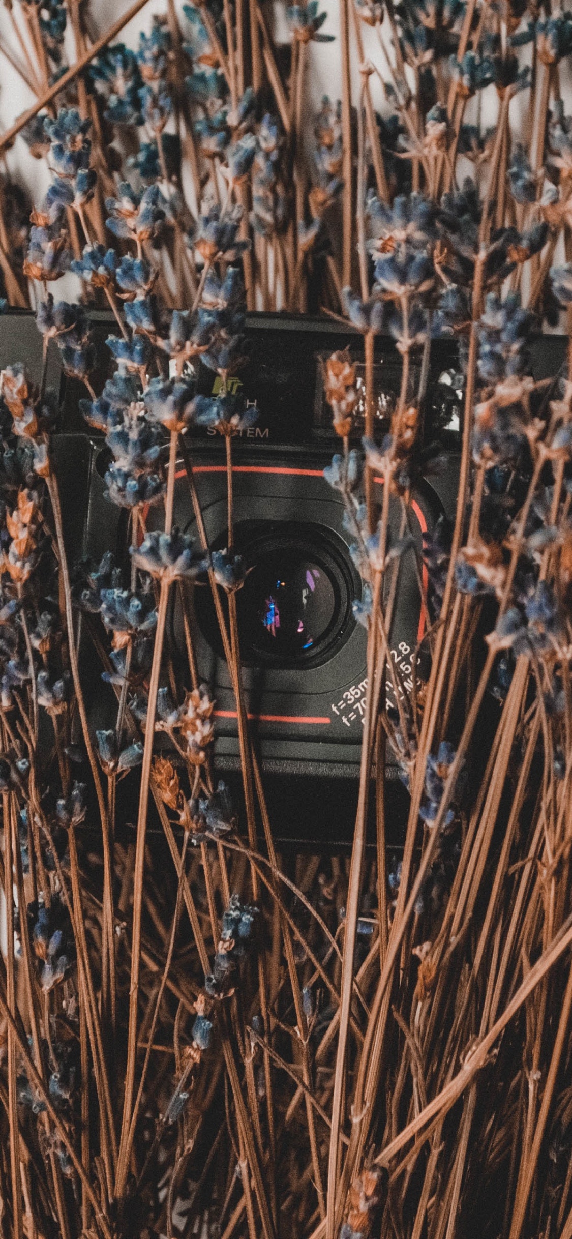 Black and Silver Camera on Brown Dried Leaves. Wallpaper in 1125x2436 Resolution
