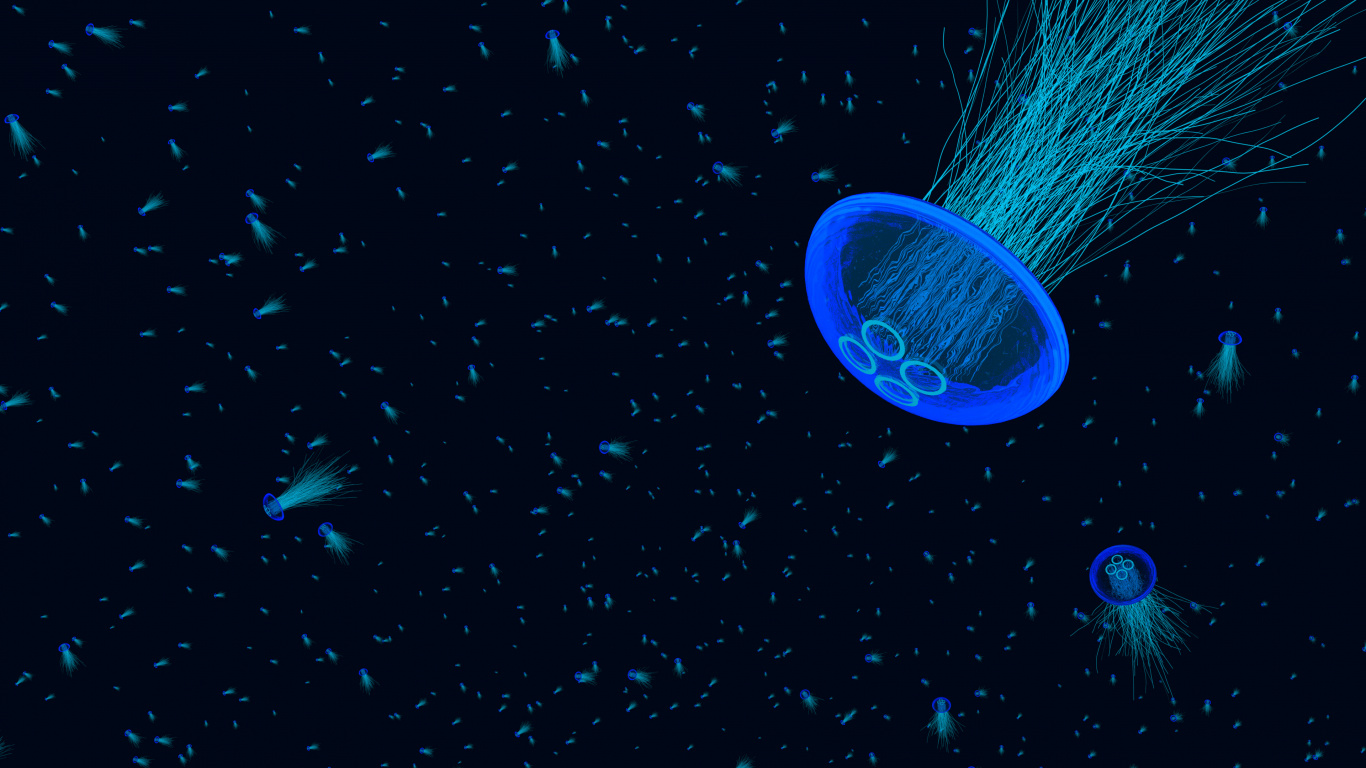Blue Jellyfish in Water During Daytime. Wallpaper in 1366x768 Resolution