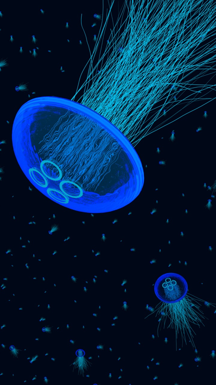 Blue Jellyfish in Water During Daytime. Wallpaper in 720x1280 Resolution