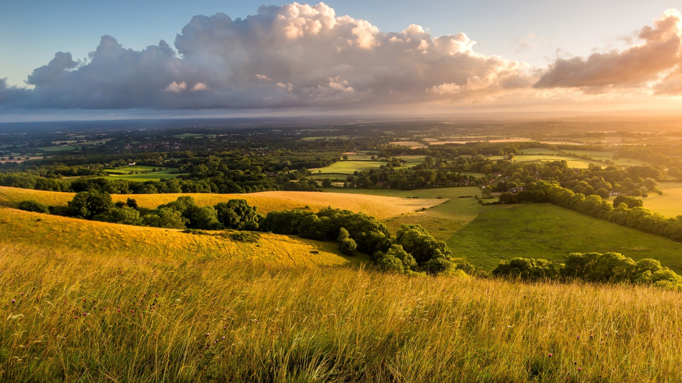 Green Grass Field Under Blue Sky During Daytime. Wallpaper in 1366x768 Resolution