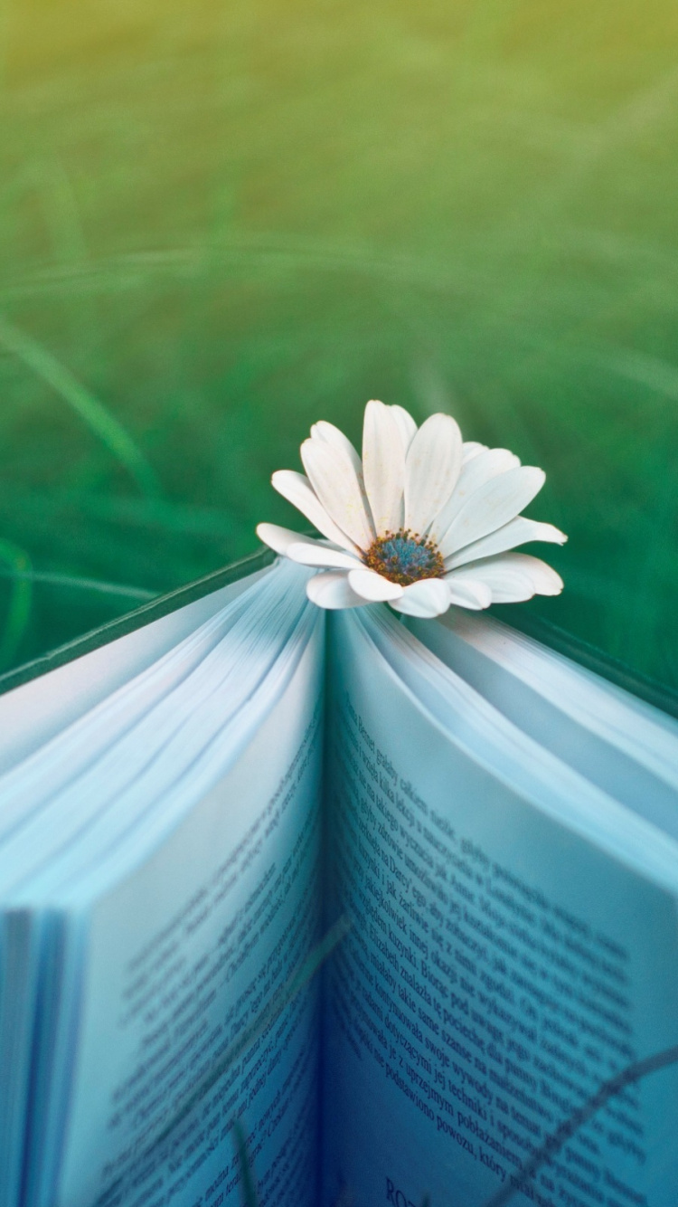 绿色的, 本书, 草地上 壁纸 750x1334 允许