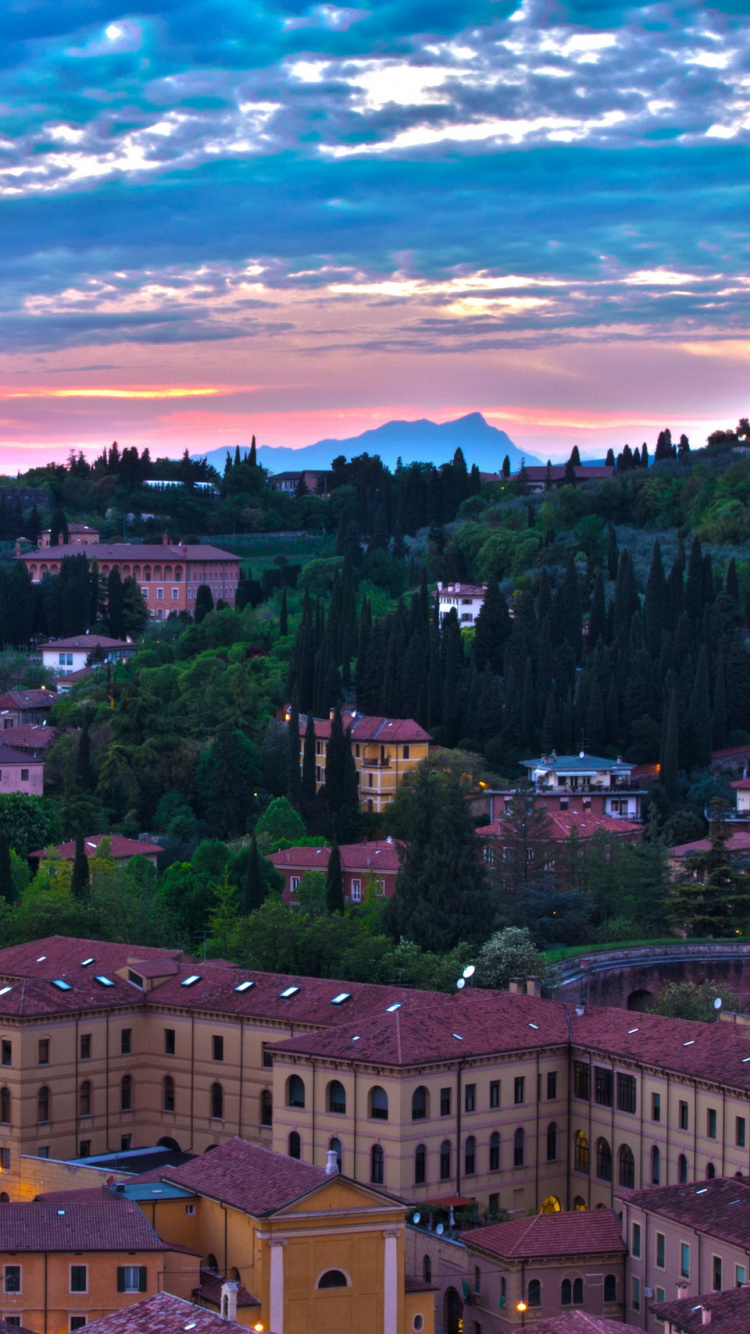 Bâtiments en Béton Brun Sous Ciel Bleu Pendant la Journée. Wallpaper in 750x1334 Resolution