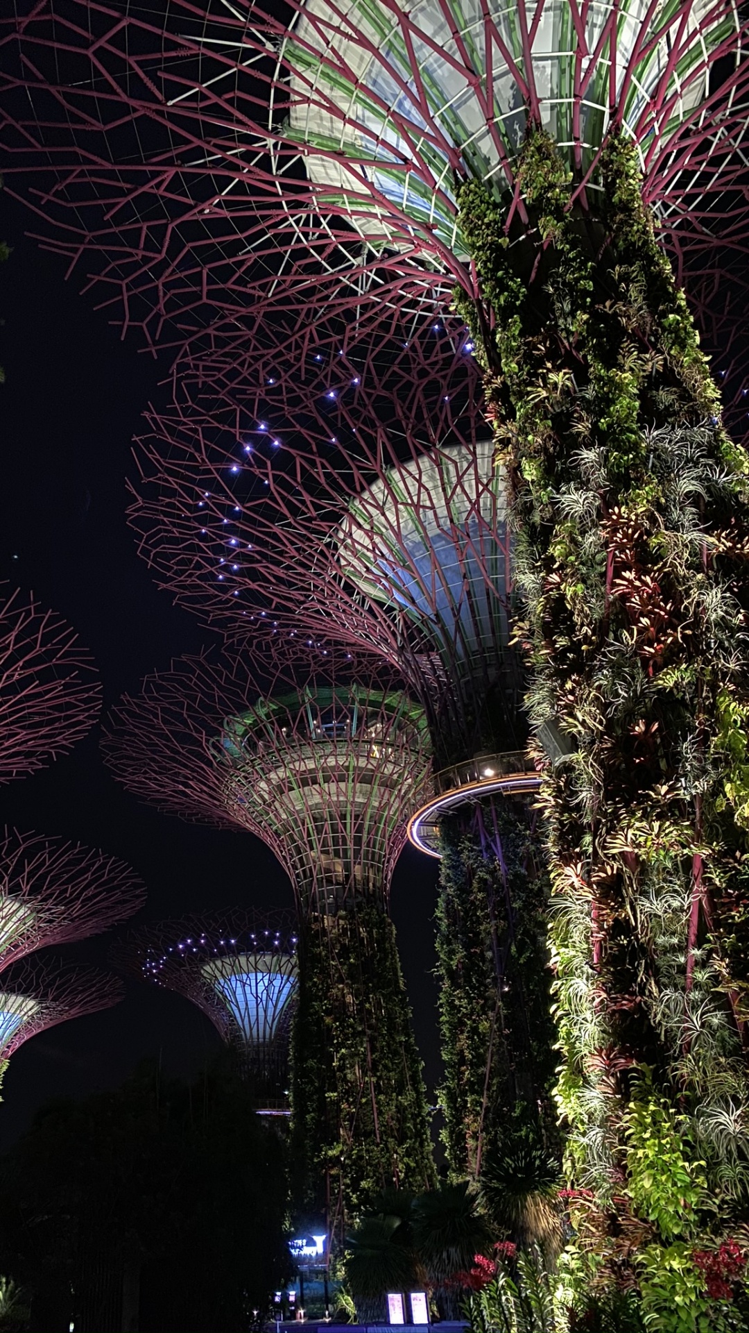 Singapur, Natur, Architektur, Nacht, Mitternacht. Wallpaper in 1080x1920 Resolution