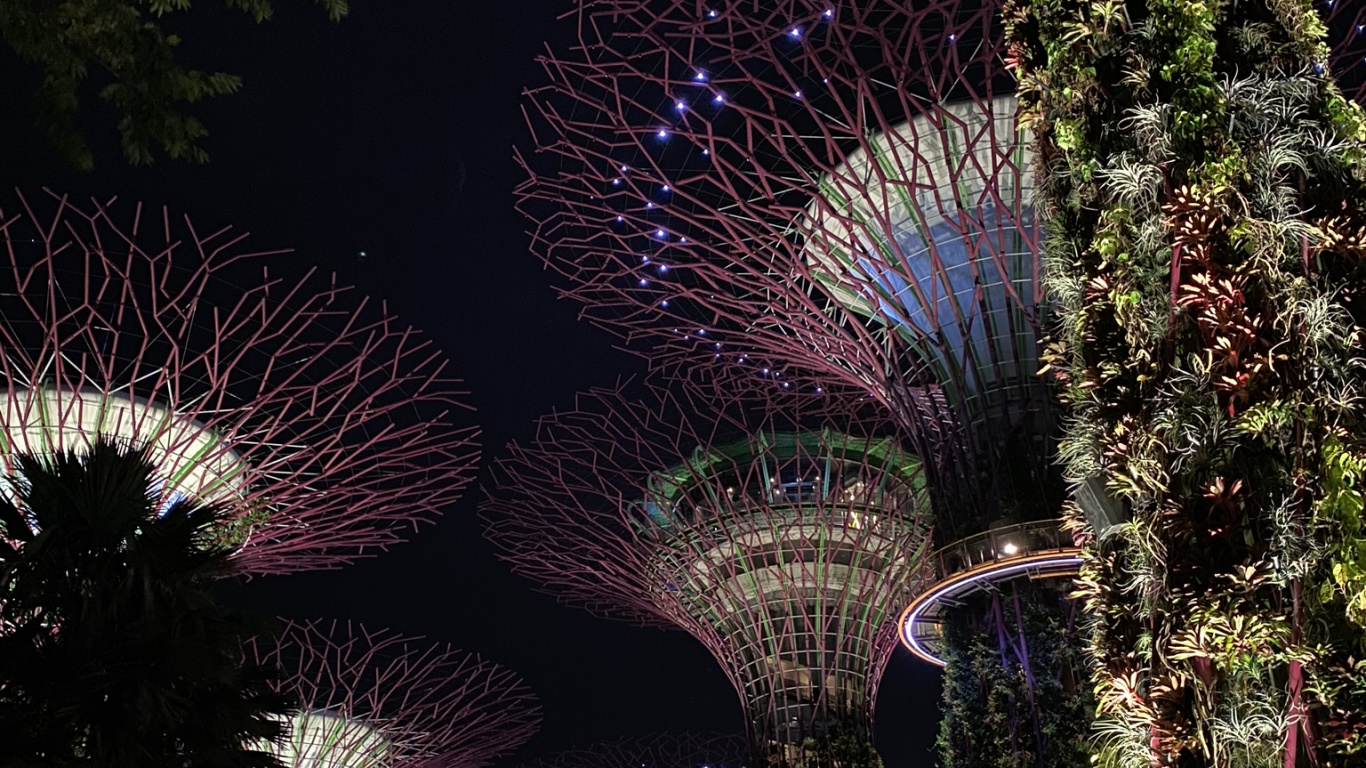Singapur, Natur, Architektur, Nacht, Mitternacht. Wallpaper in 1366x768 Resolution