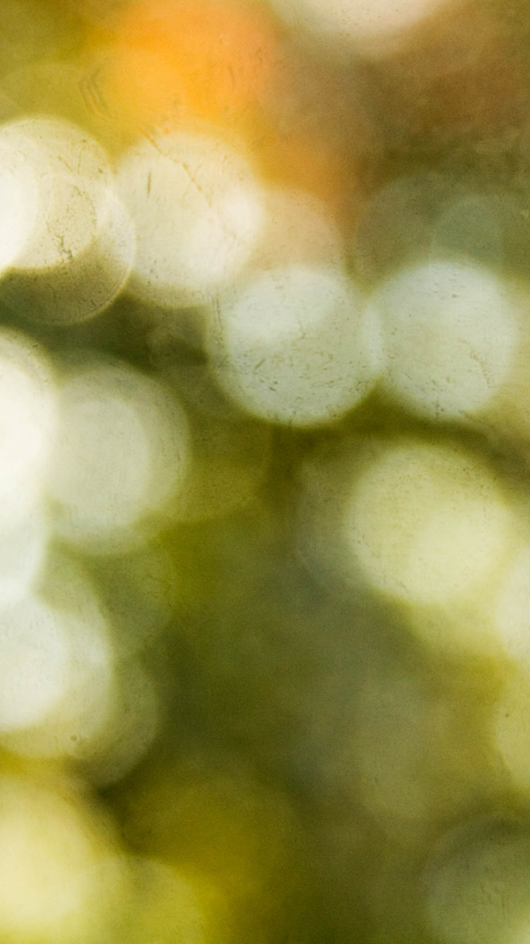 Lumières Bokeh Blanches et Vertes. Wallpaper in 750x1334 Resolution