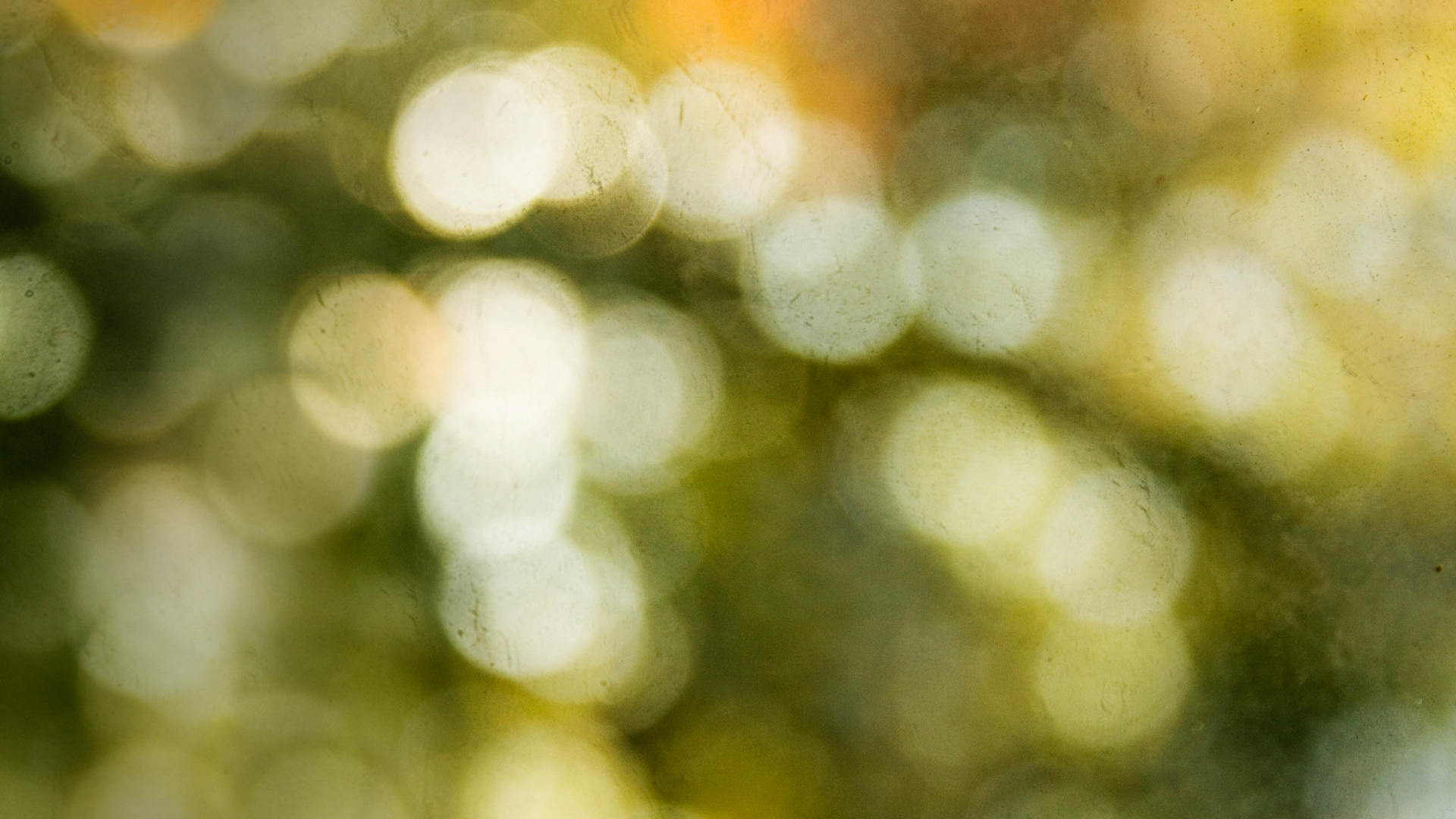 Weiße Und Grüne Bokeh-Lichter. Wallpaper in 1920x1080 Resolution