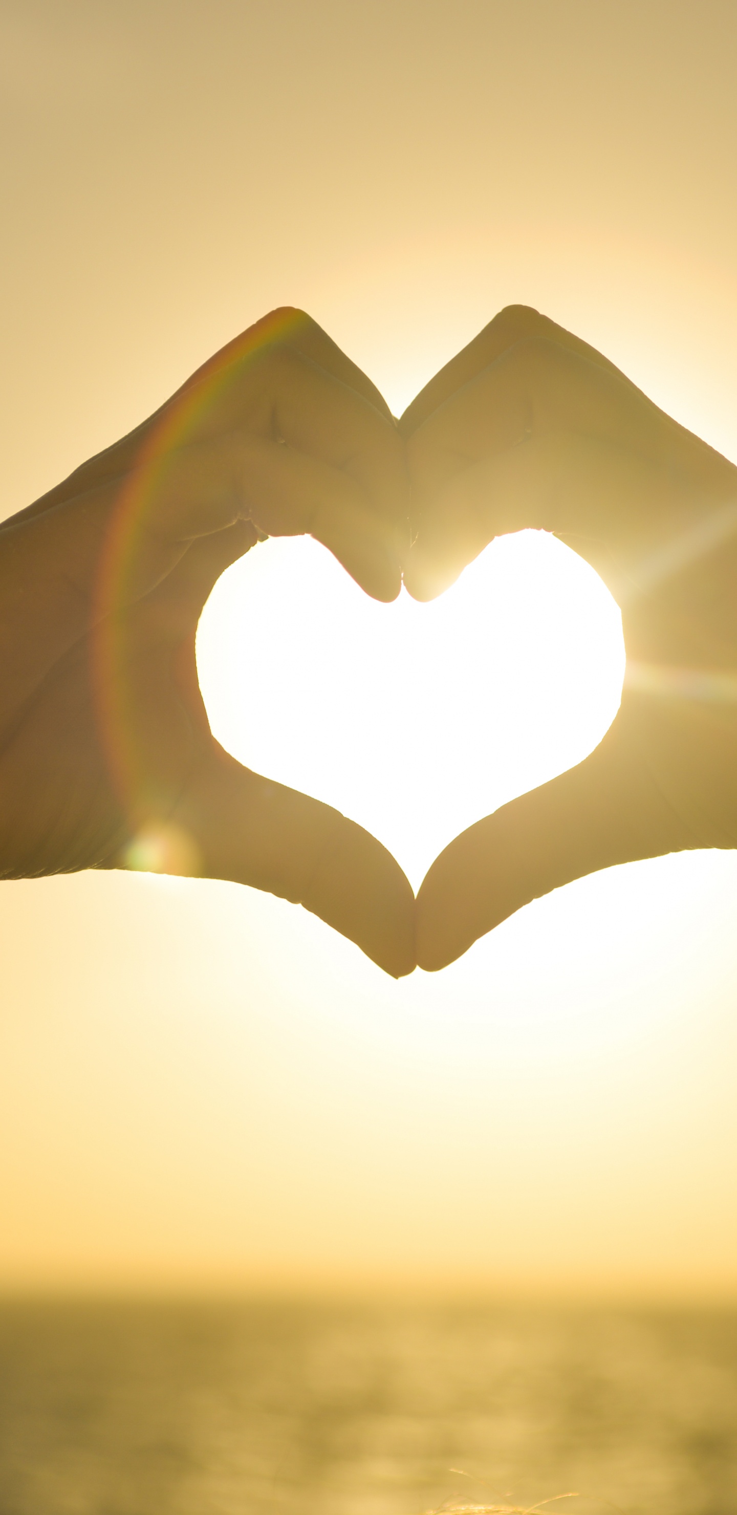 太阳, 阳光, 建筑, 光, 天空 壁纸 1440x2960 允许