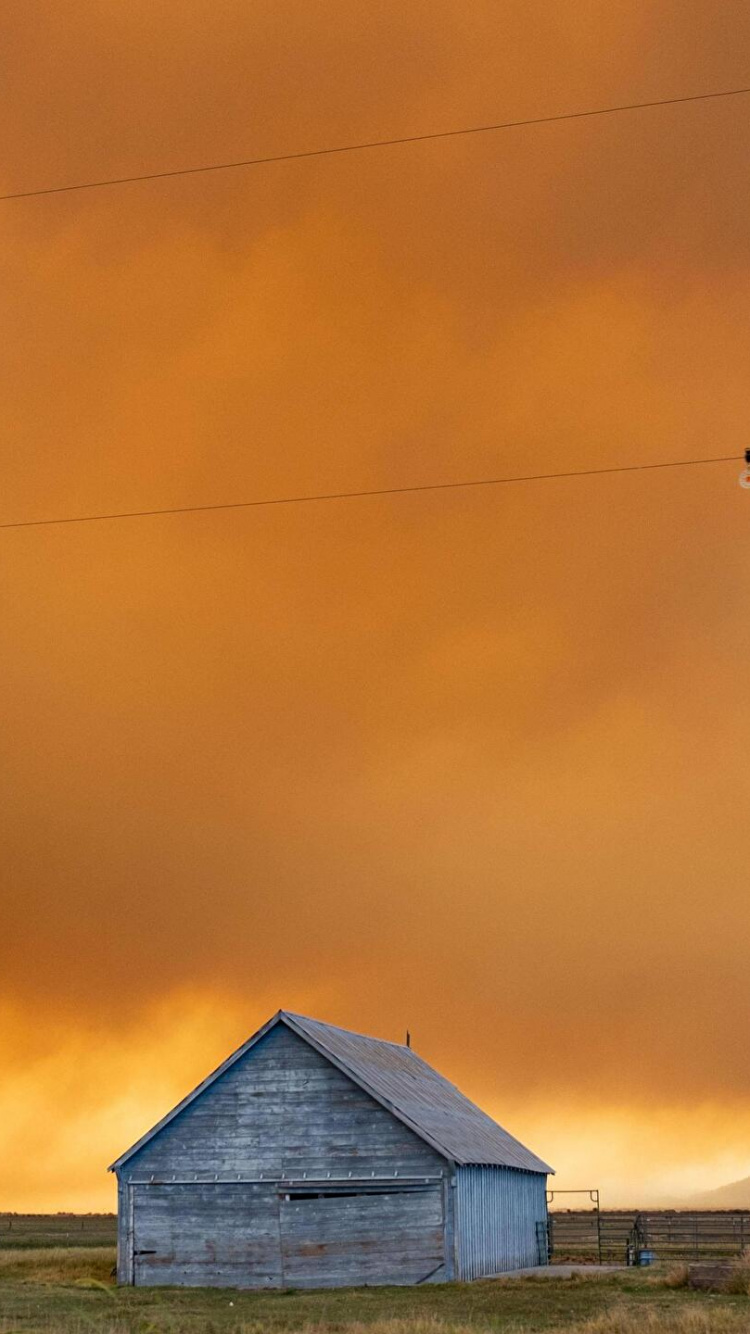 Cloud, Atmosphäre, Natur, Orange, Holz. Wallpaper in 750x1334 Resolution