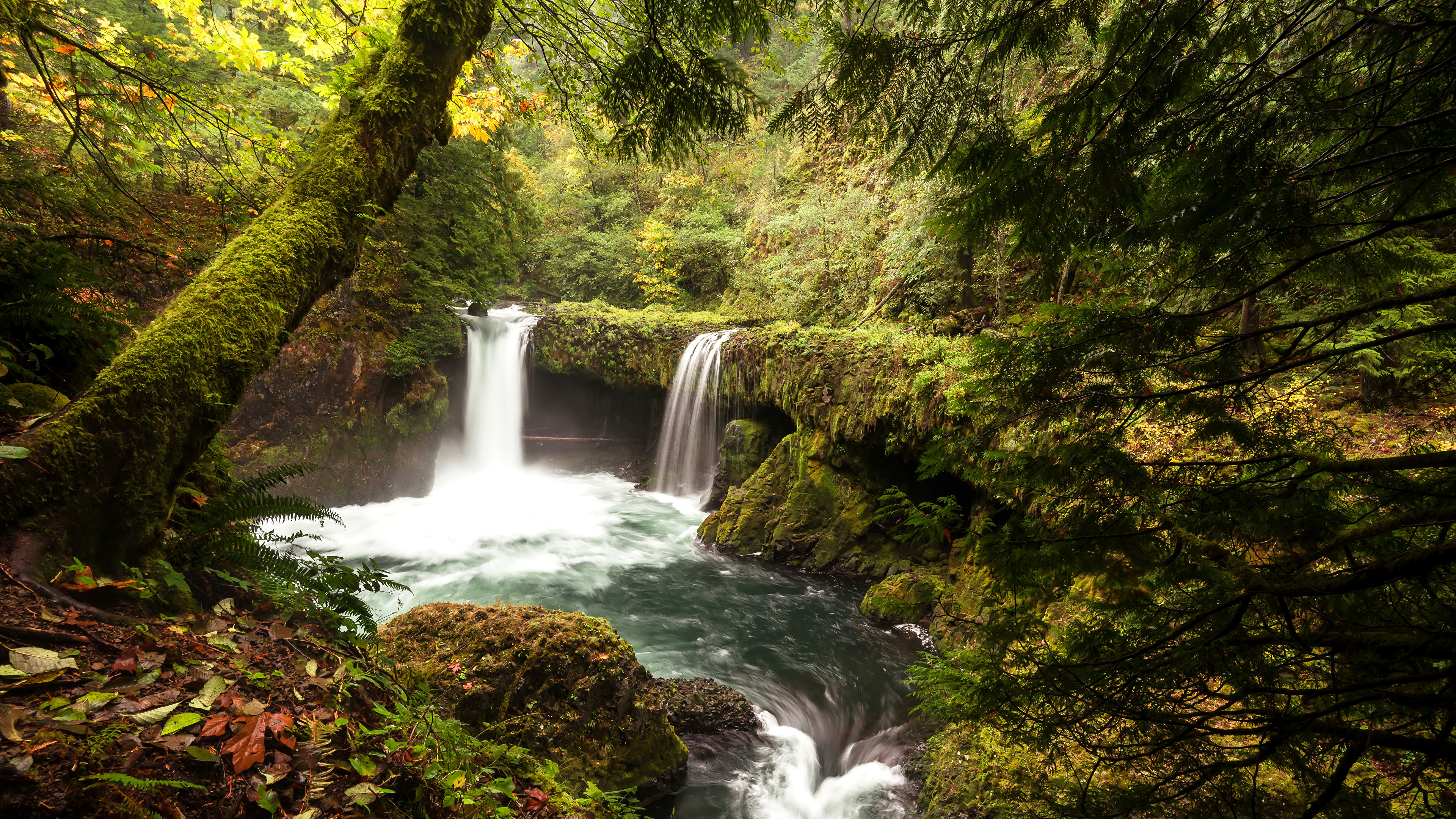 Cascadas en Medio Del Bosque. Wallpaper in 3840x2160 Resolution