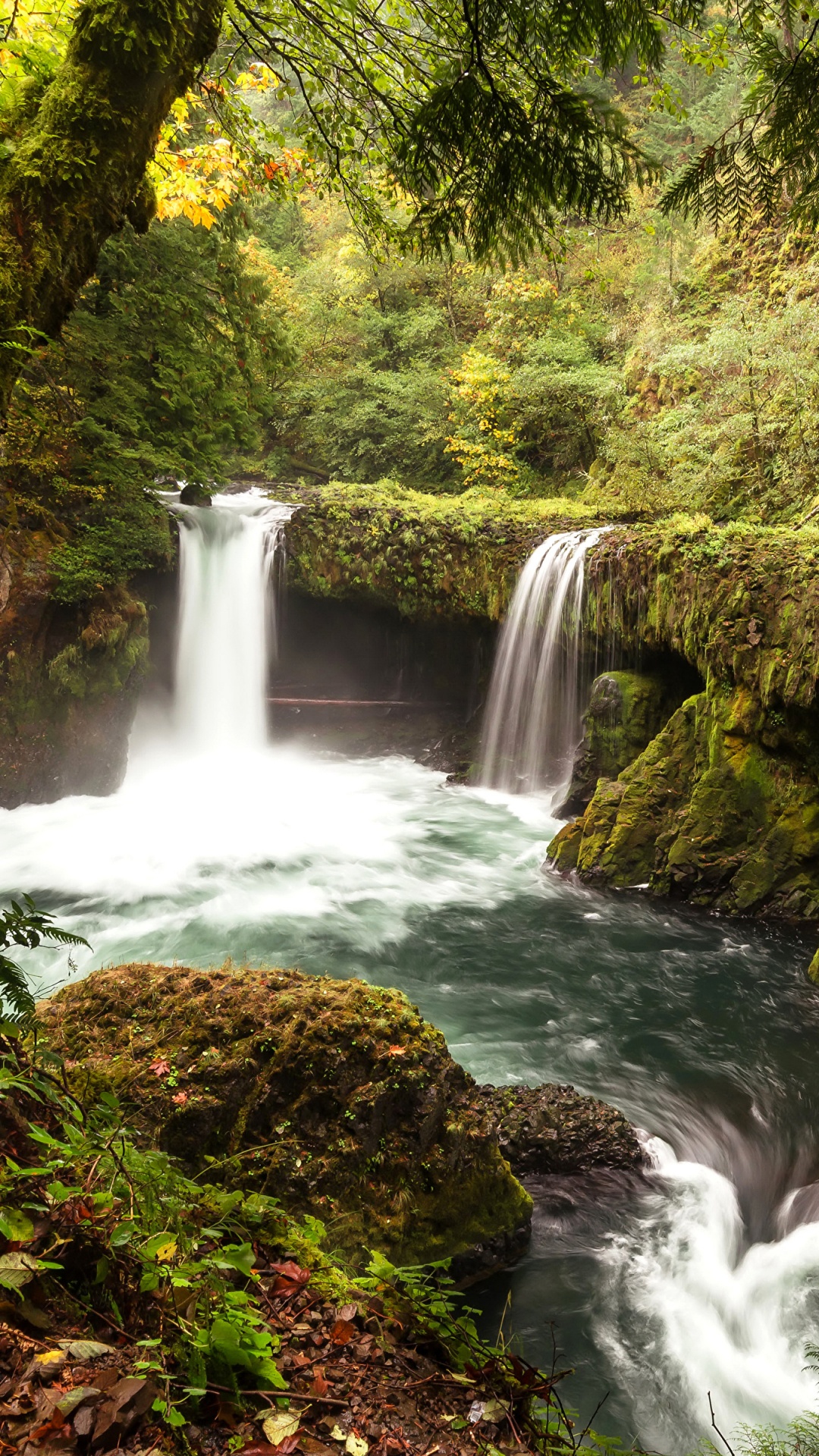 Waterfalls in The Middle of The Forest. Wallpaper in 1080x1920 Resolution