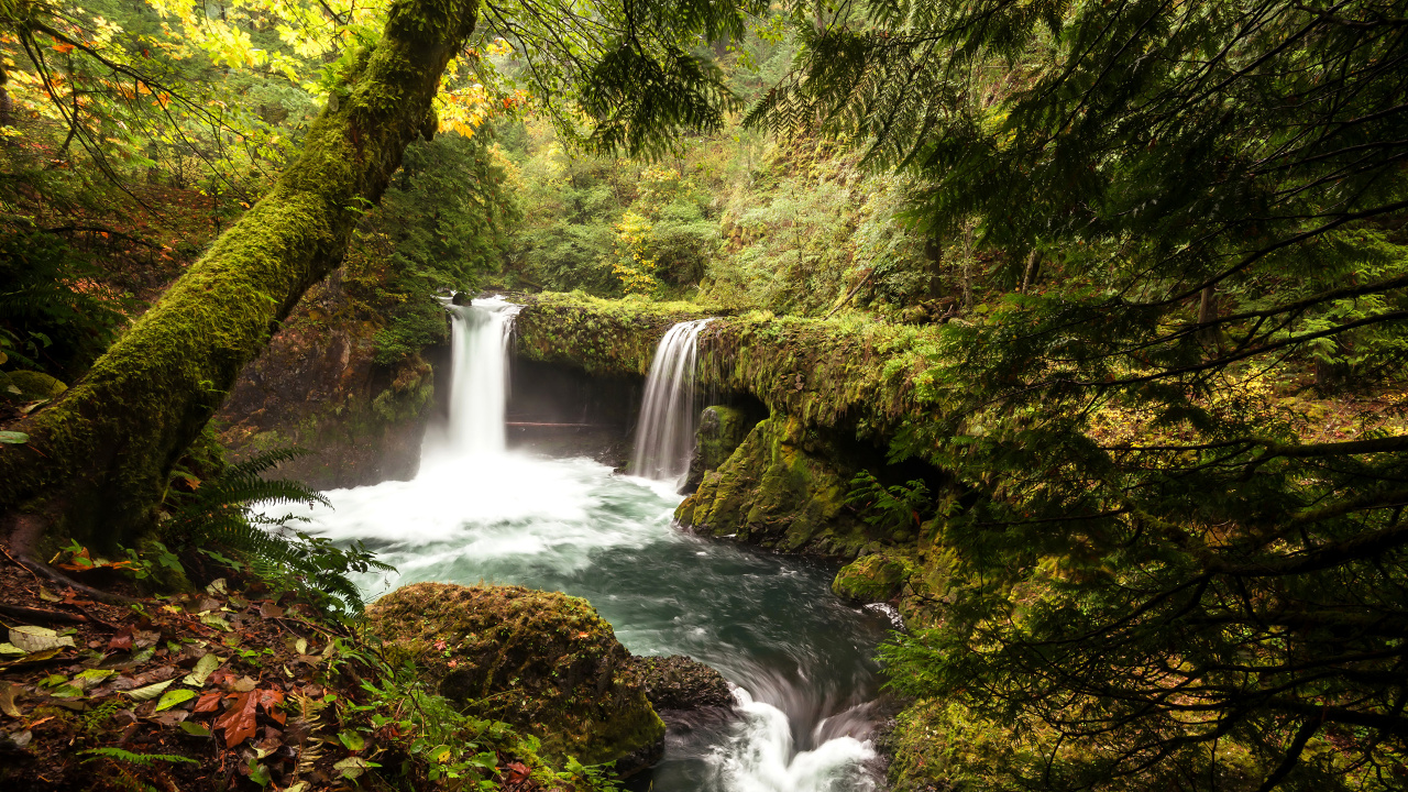 Waterfalls in The Middle of The Forest. Wallpaper in 1280x720 Resolution