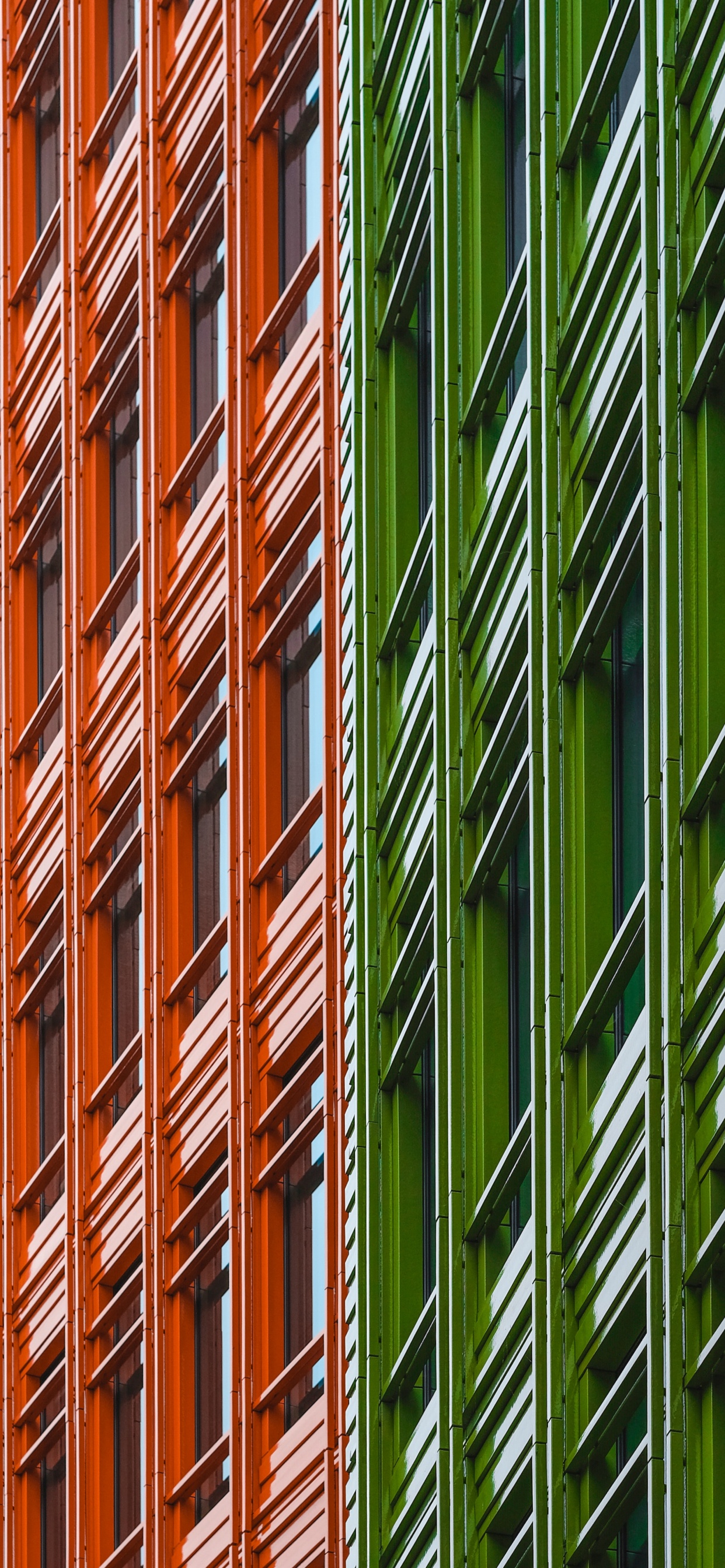 Grüne Und Braune Bambuspflanzen. Wallpaper in 1242x2688 Resolution