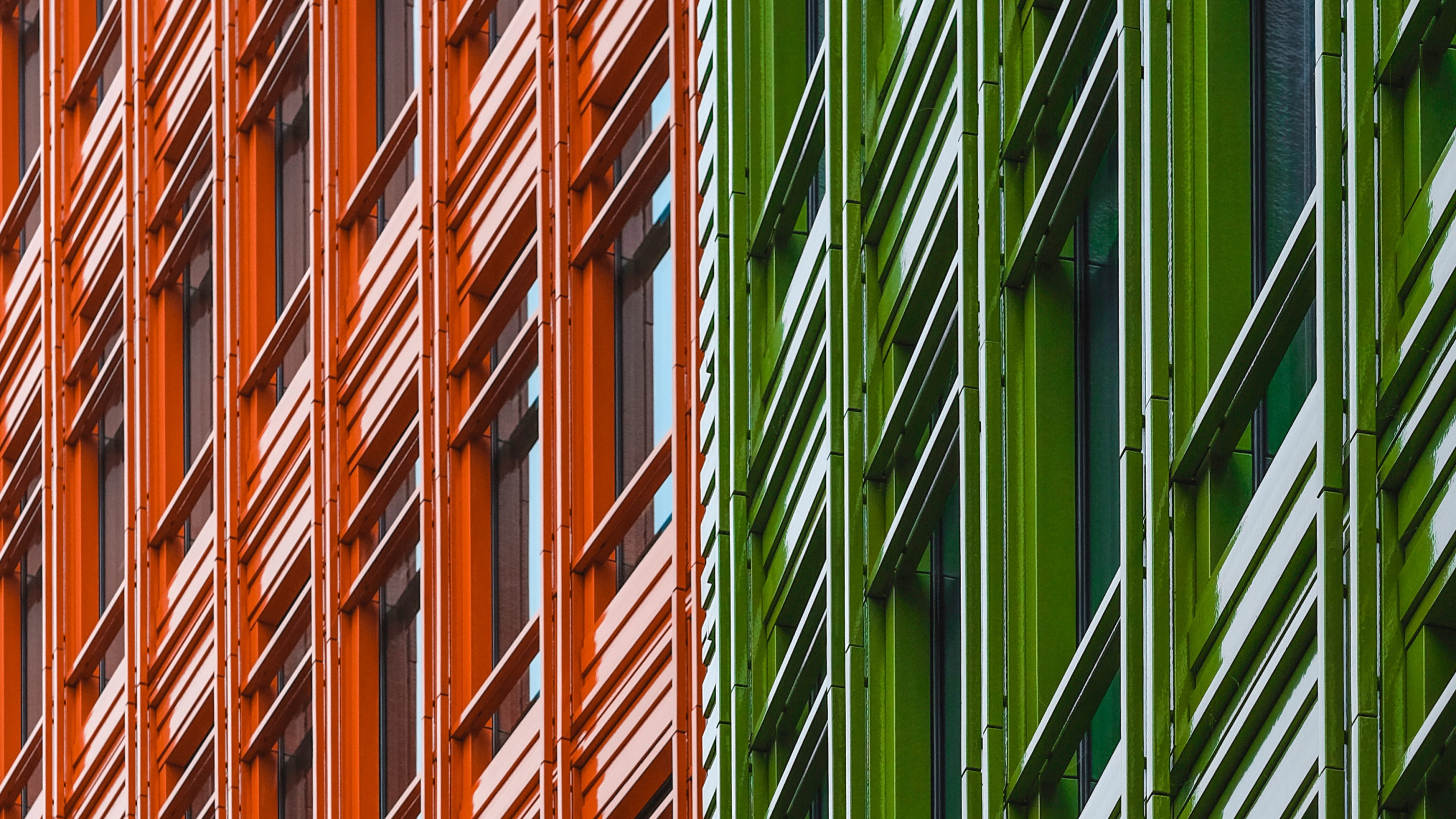 Grüne Und Braune Bambuspflanzen. Wallpaper in 2560x1440 Resolution