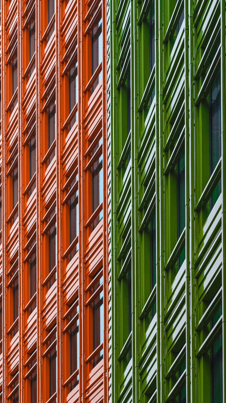 Grüne Und Braune Bambuspflanzen. Wallpaper in 750x1334 Resolution