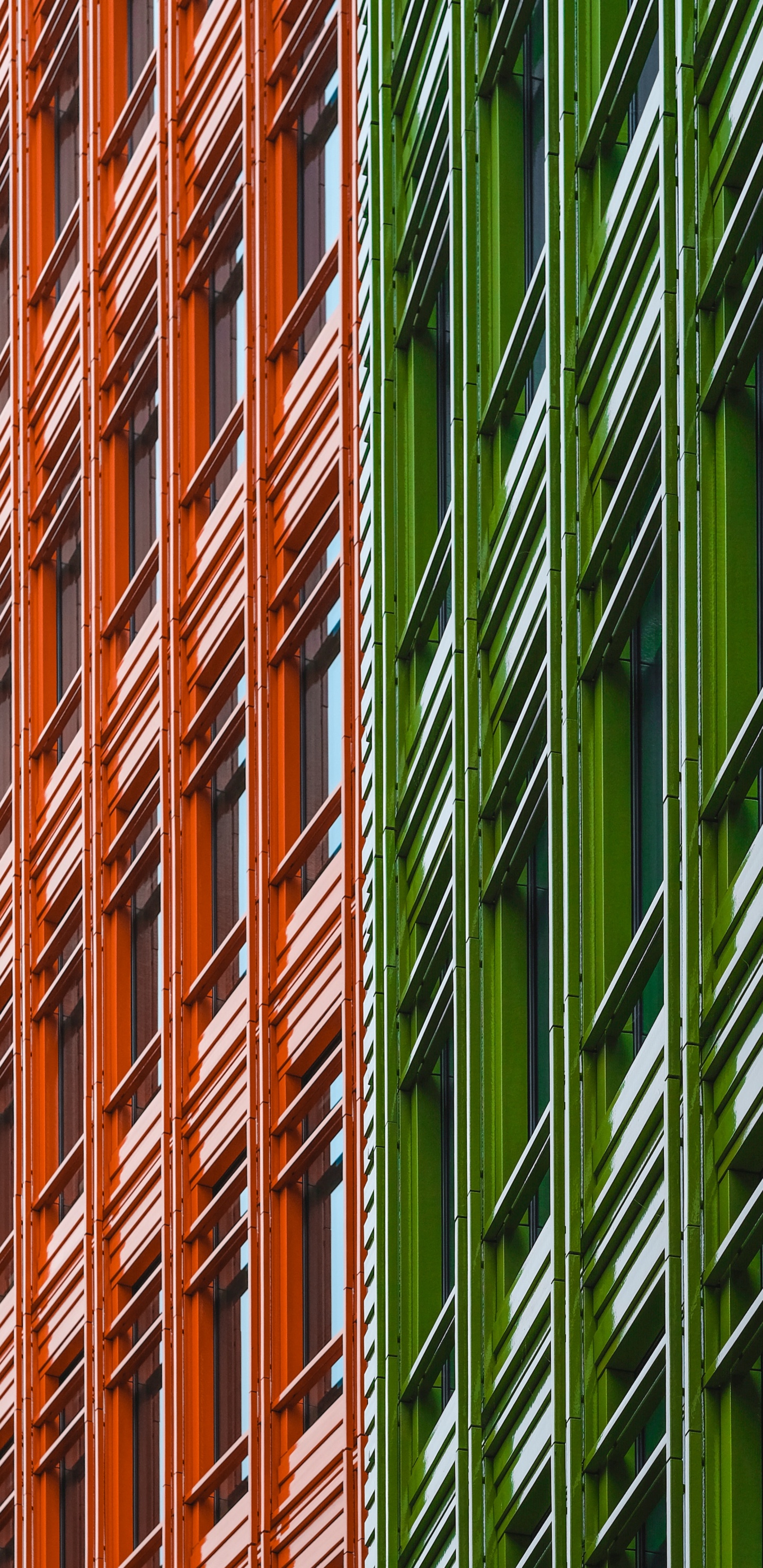 Green and Brown Bamboo Plants. Wallpaper in 1440x2960 Resolution
