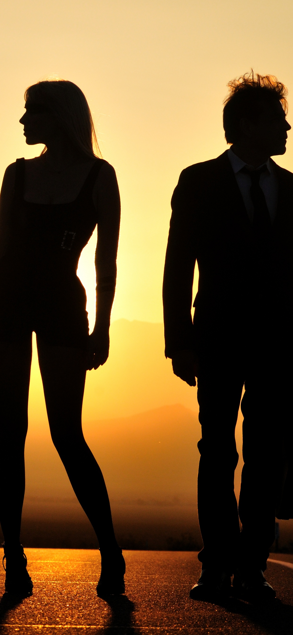 Silhouette, Sunset, Morning, Sun, Evening. Wallpaper in 1242x2688 Resolution