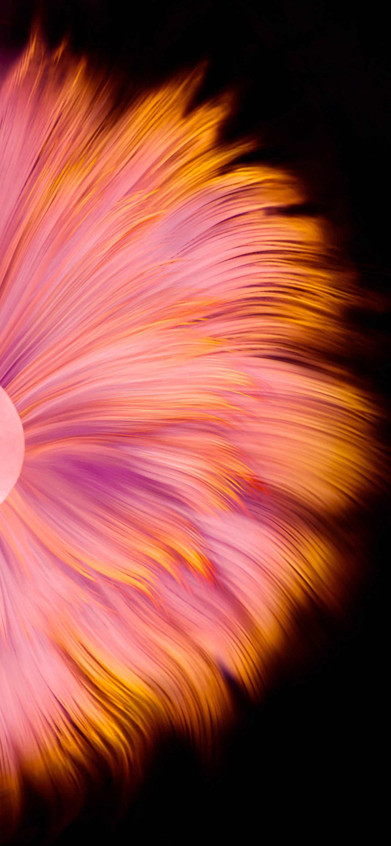 Huawei, Huawei Mate, Huawei Mate 40 Pro, Huawei Mate 40 Pro Stock, Huawei Mate 30. Wallpaper in 1242x2688 Resolution