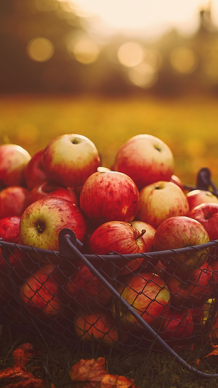 Red Apples in Black Basket. Wallpaper in 750x1334 Resolution