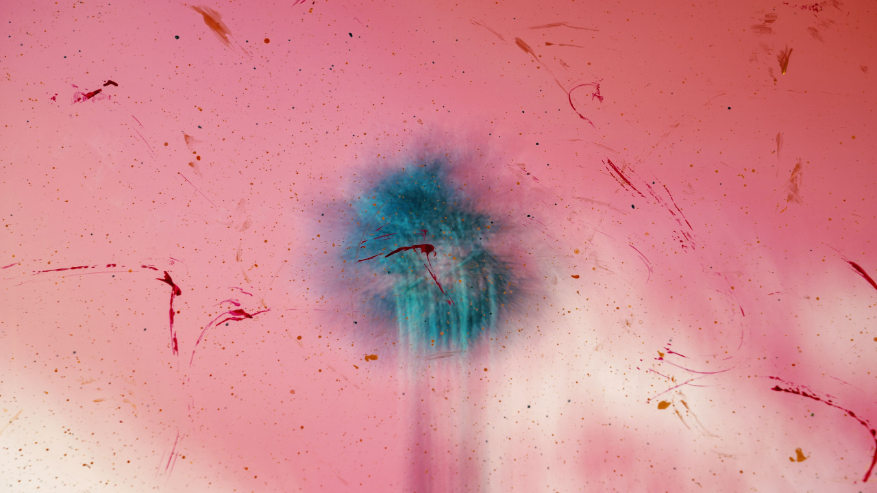 Pink and White Flower in Water. Wallpaper in 1280x720 Resolution