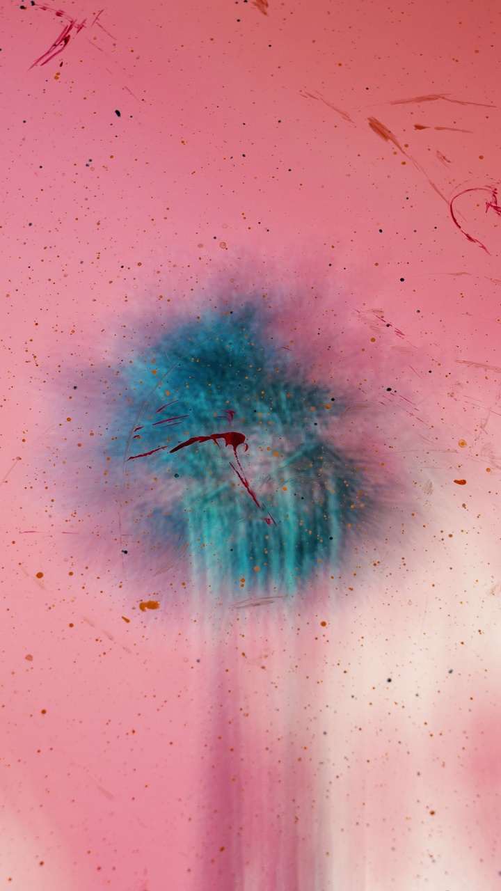 Pink and White Flower in Water. Wallpaper in 720x1280 Resolution