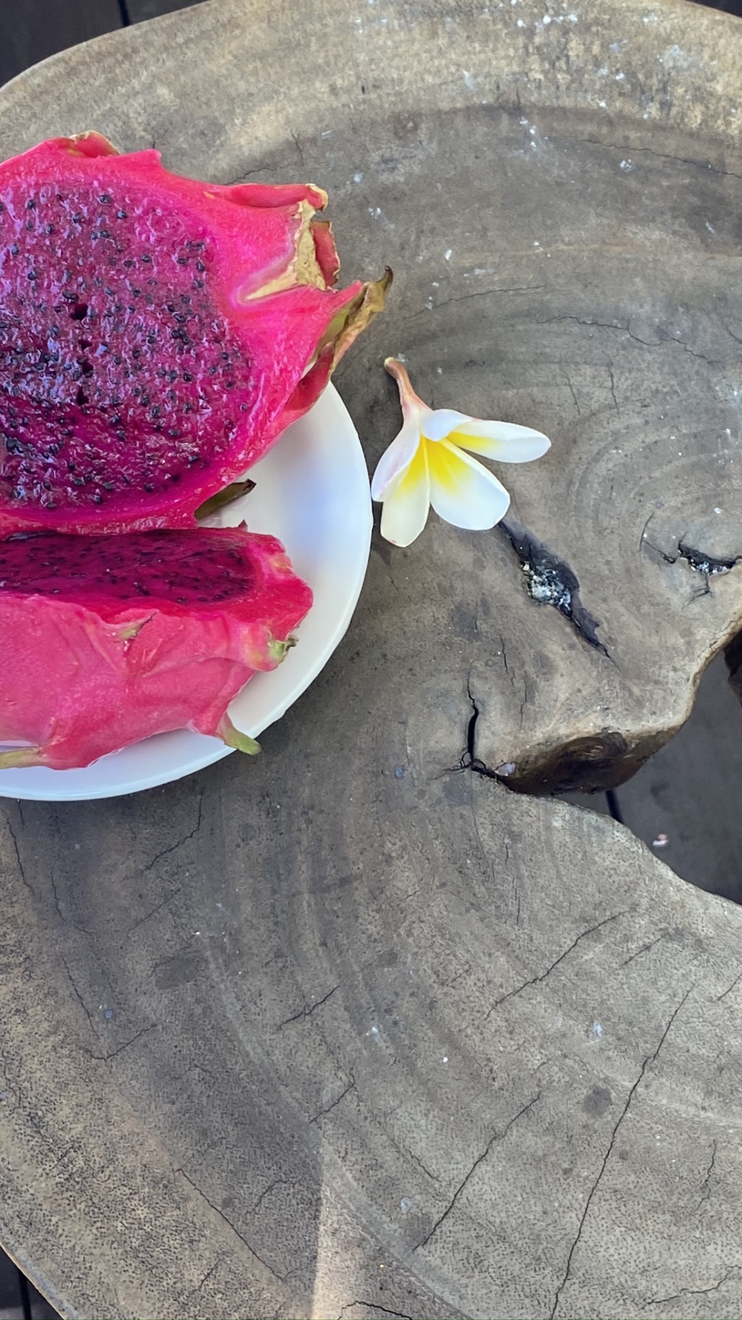 Material, Pétalo, Magenta, la Floración de la Planta, Decorar. Wallpaper in 1080x1920 Resolution