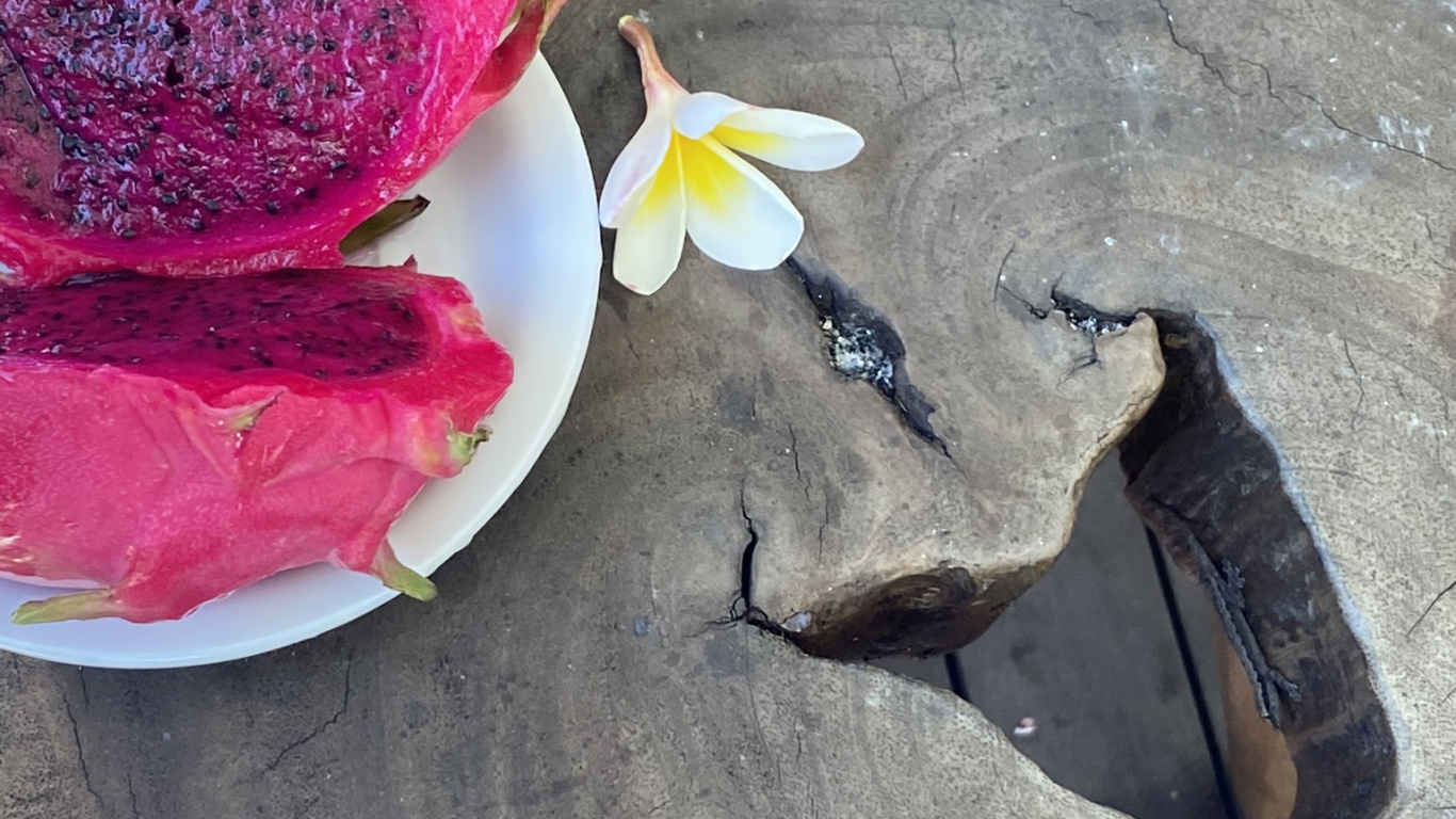 Pétale, Magenta, la Floraison de la Plante, Garnir, la Vaisselle. Wallpaper in 1366x768 Resolution