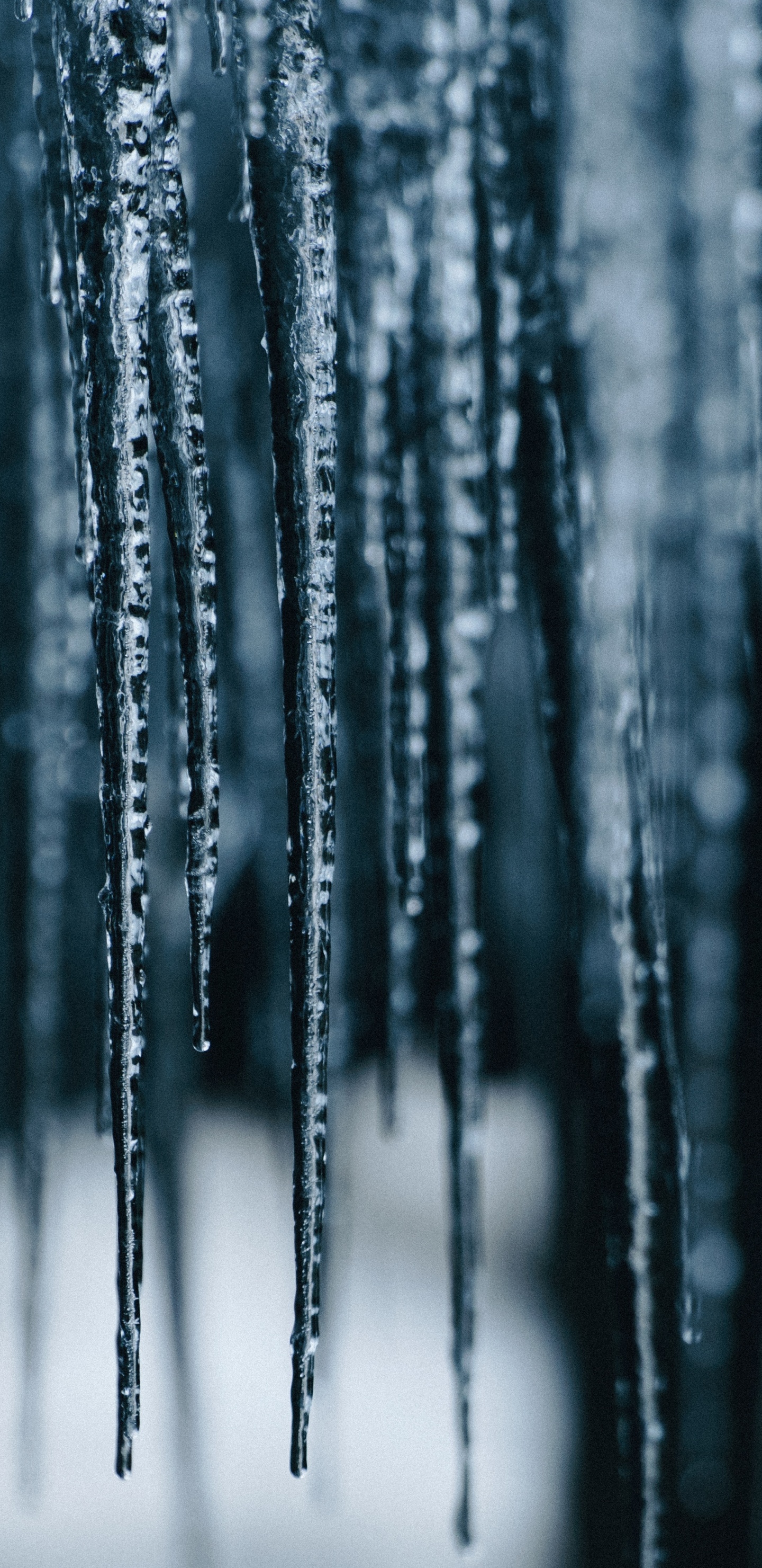 Eiszapfen, Wasser, Blau, Einfrieren, Natürlichen Umgebung. Wallpaper in 1440x2960 Resolution