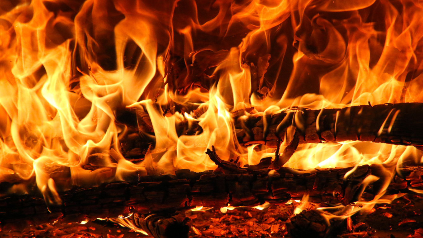 Burning Wood on Brown Soil. Wallpaper in 1366x768 Resolution
