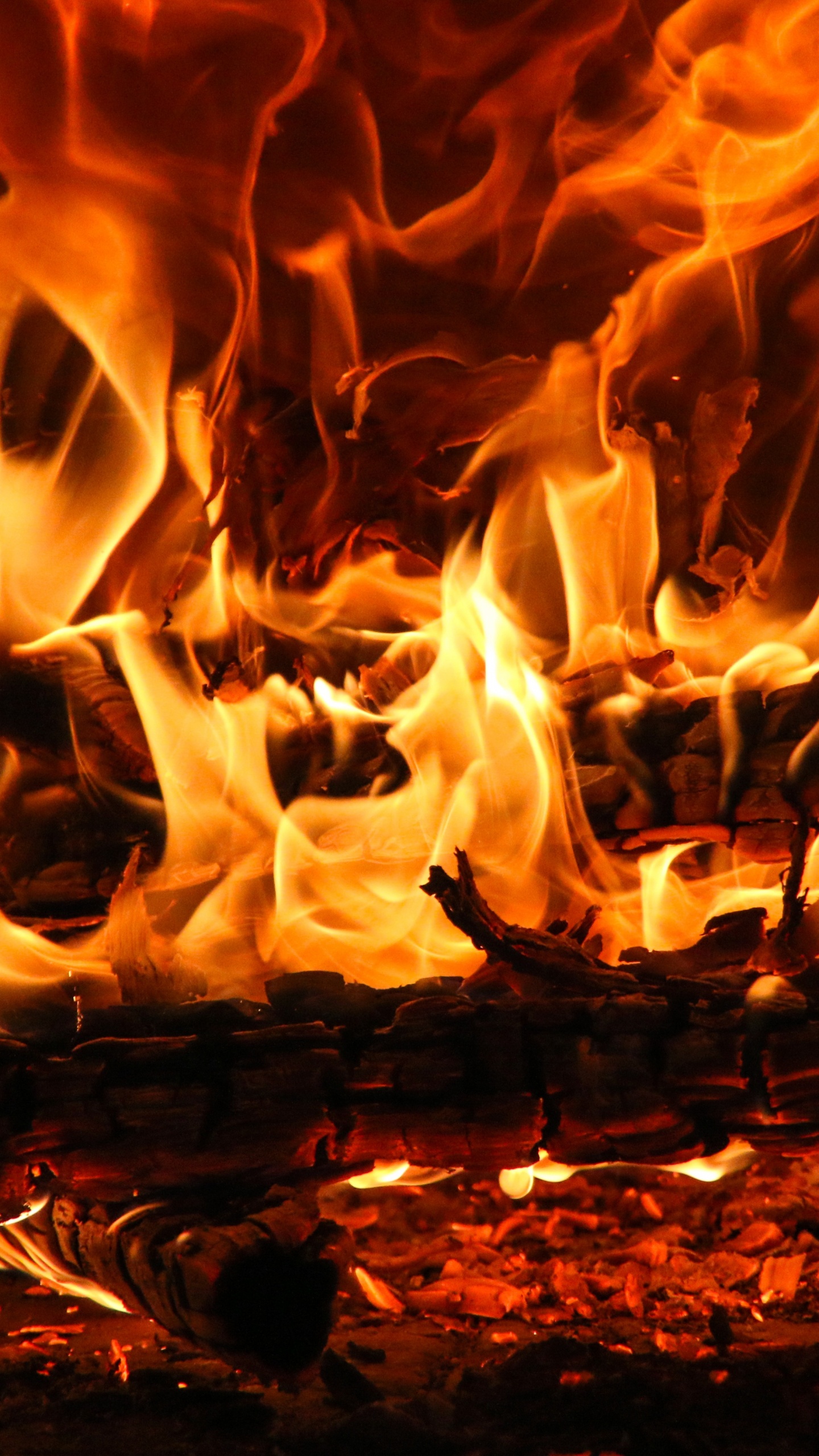 Burning Wood on Brown Soil. Wallpaper in 1440x2560 Resolution