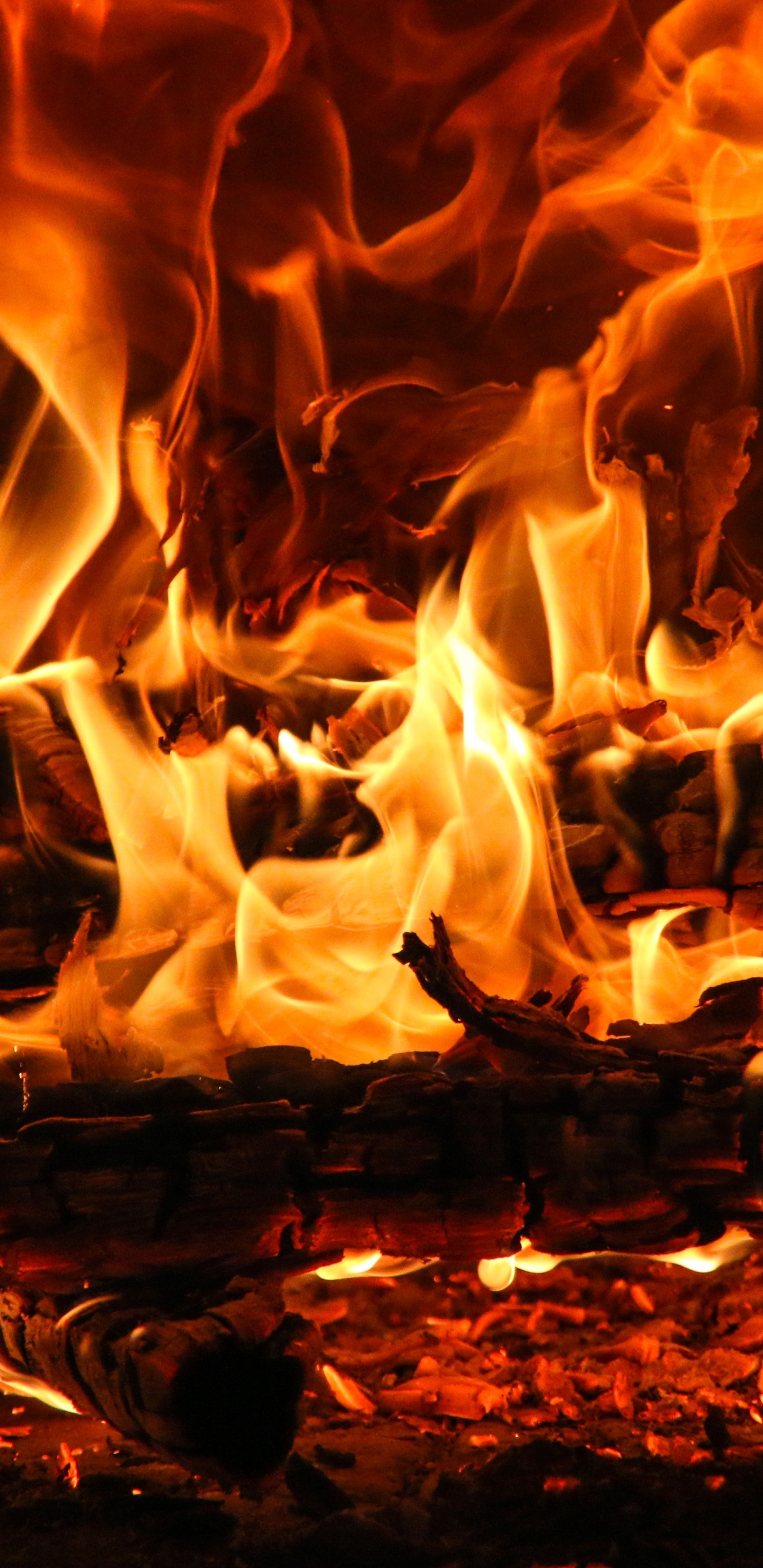 Burning Wood on Brown Soil. Wallpaper in 1440x2960 Resolution