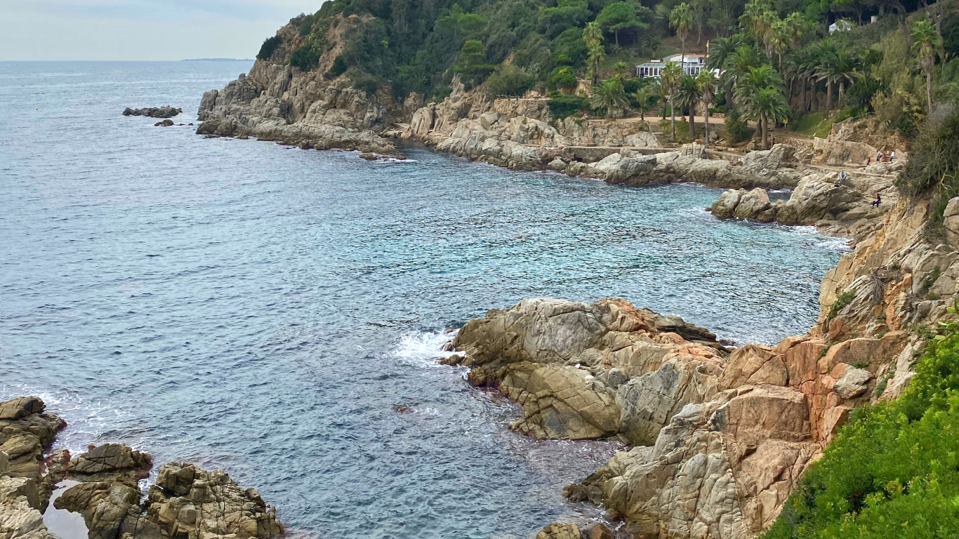 Coast, Body of Water, Vegetation, Natural Landscape, Water. Wallpaper in 1366x768 Resolution