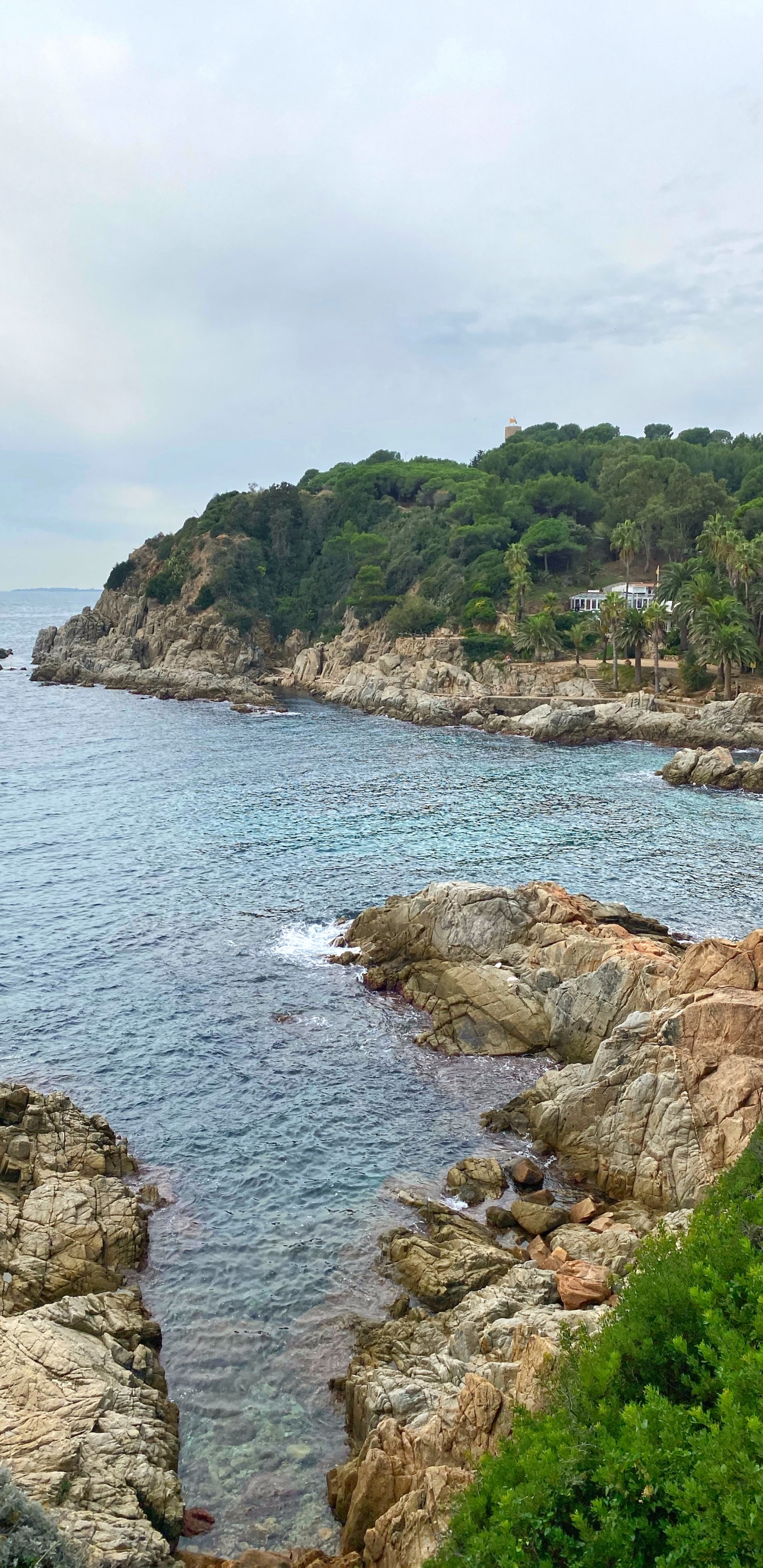 Coast, Body of Water, Vegetation, Natural Landscape, Water. Wallpaper in 1440x2960 Resolution