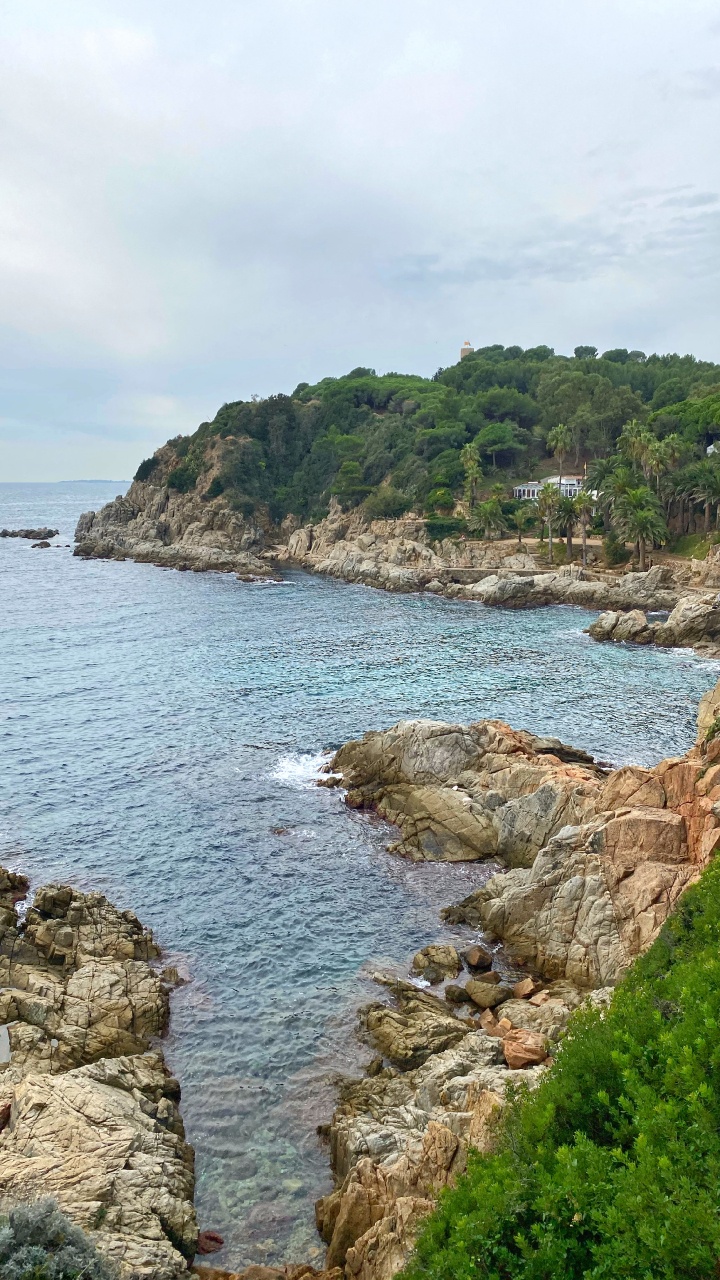 Coast, Body of Water, Vegetation, Natural Landscape, Water. Wallpaper in 720x1280 Resolution