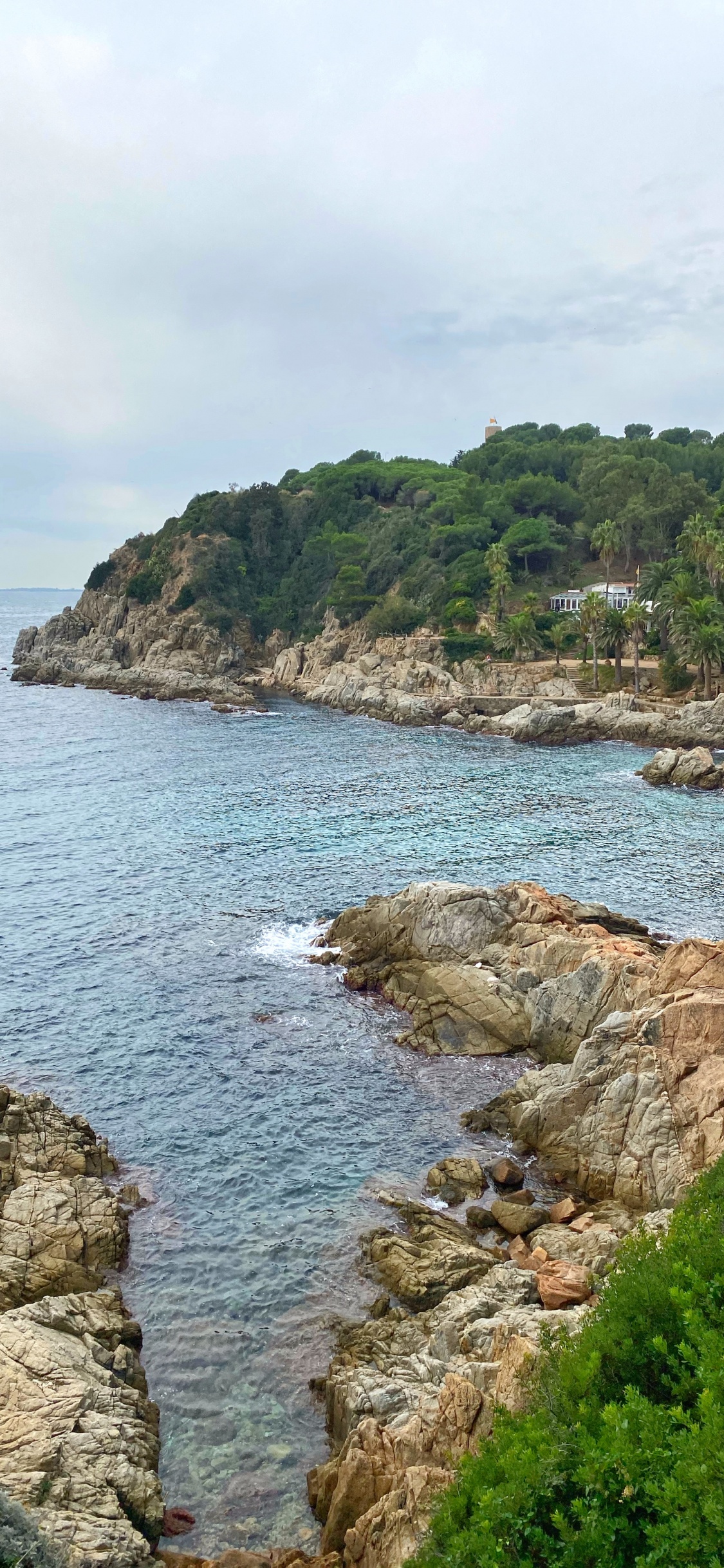 海岸, 人体内的水, 植被, 自然景观, 岸边 壁纸 1125x2436 允许