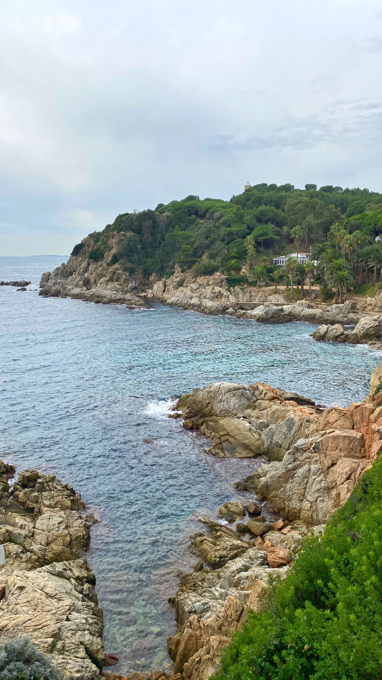 海岸, 人体内的水, 植被, 自然景观, 岸边 壁纸 750x1334 允许
