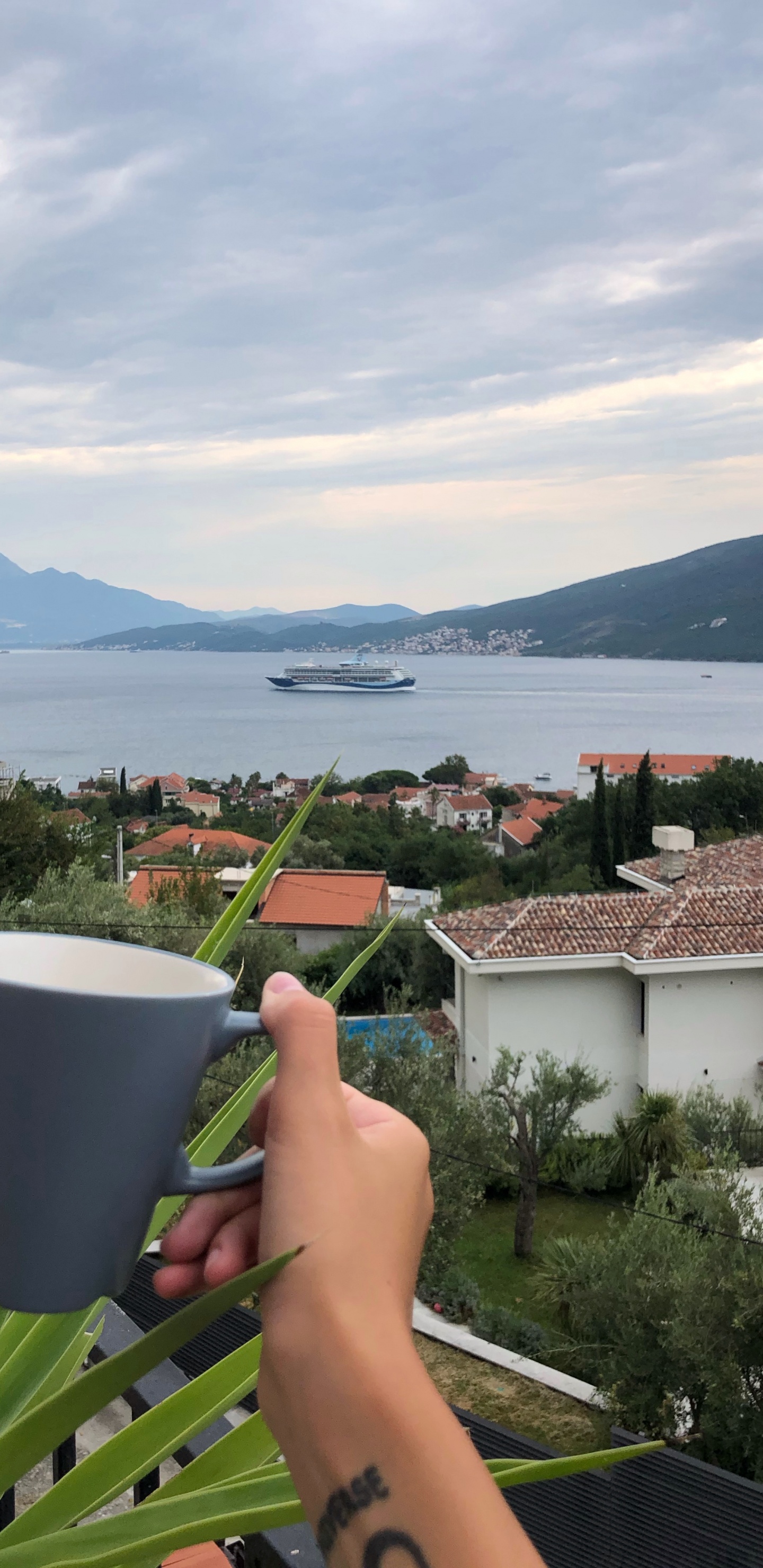 Agua, Palmera, Turismo, Ciencia, Biología. Wallpaper in 1440x2960 Resolution