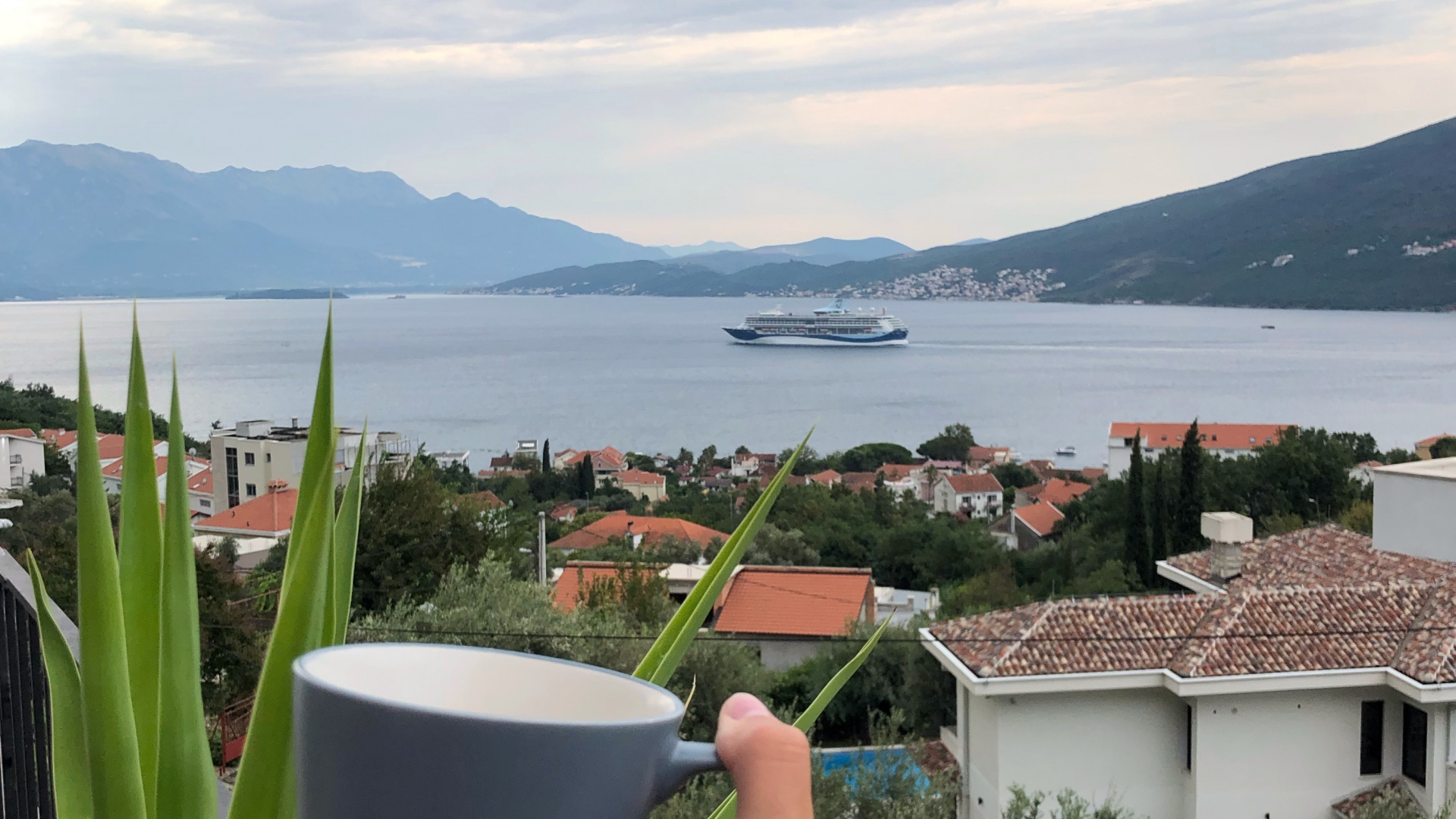 Agua, Palmera, Turismo, Ciencia, Biología. Wallpaper in 1920x1080 Resolution