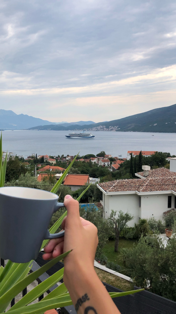 Eau, Palmier, Tourisme, Sciences, Biologie. Wallpaper in 750x1334 Resolution