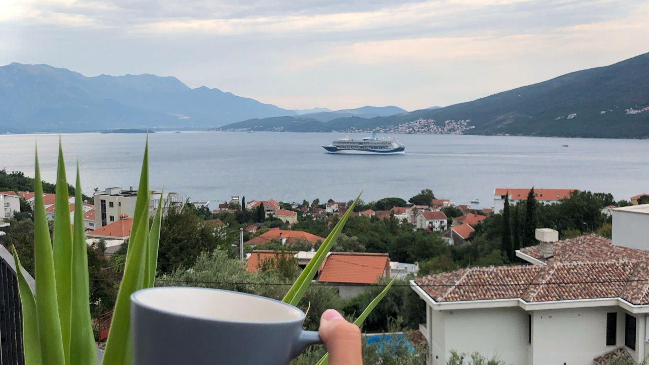 Wasser, Palme, Tourismus, Wissenschaft, Biologie. Wallpaper in 1280x720 Resolution