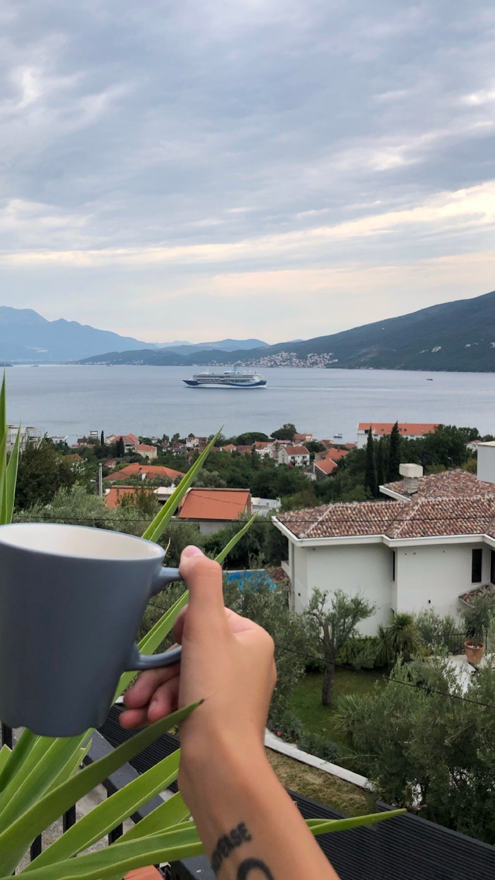 Wasser, Palme, Tourismus, Wissenschaft, Biologie. Wallpaper in 720x1280 Resolution