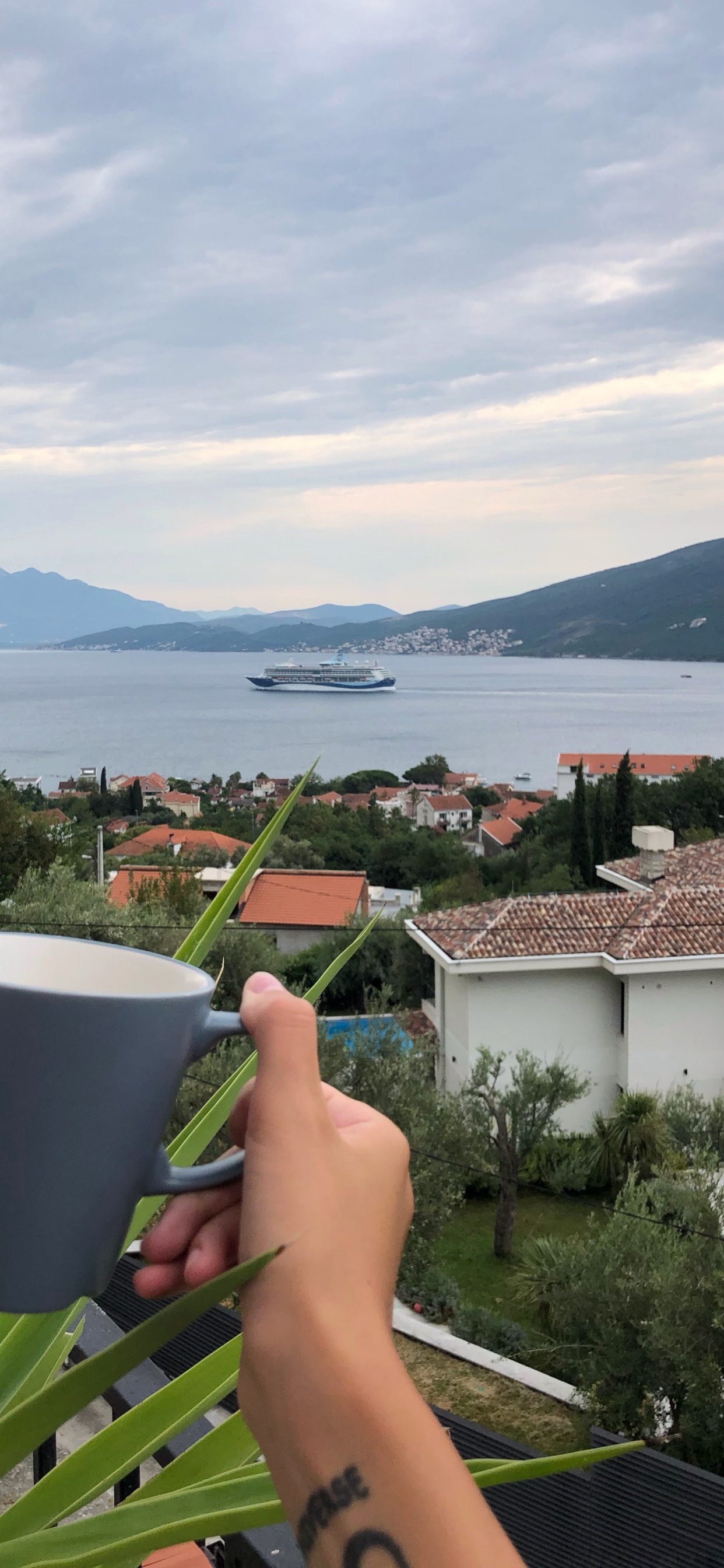 Water, Palm Trees, Tourism, Science, Biology. Wallpaper in 1242x2688 Resolution