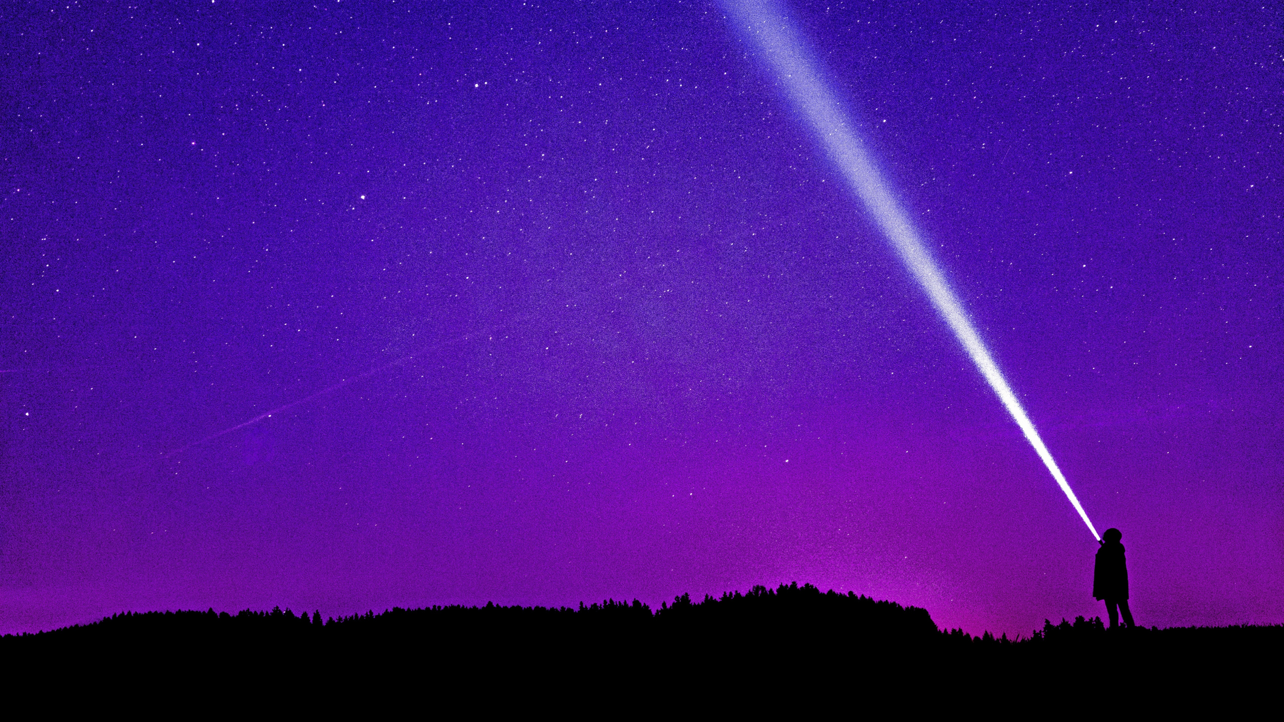 Silhouette of Trees Under Blue Sky During Night Time. Wallpaper in 2560x1440 Resolution