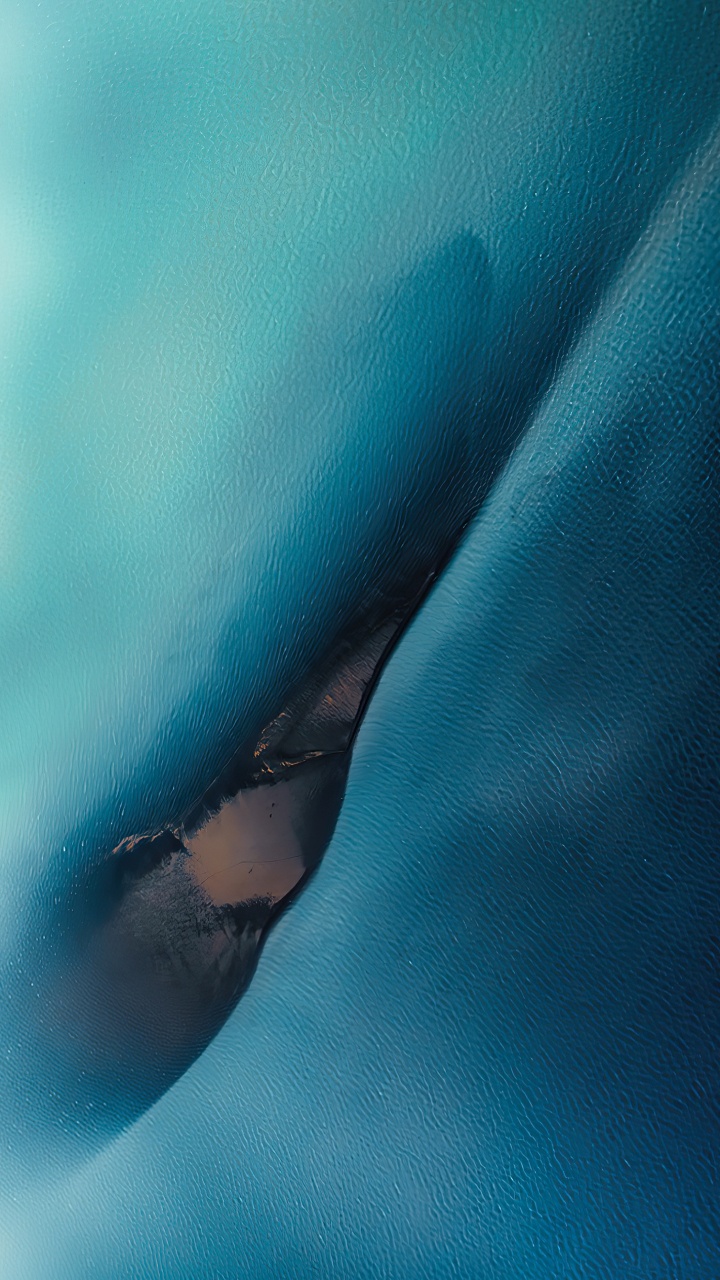 Water, Marine Biology, Hand, Plant, Sunglasses. Wallpaper in 720x1280 Resolution