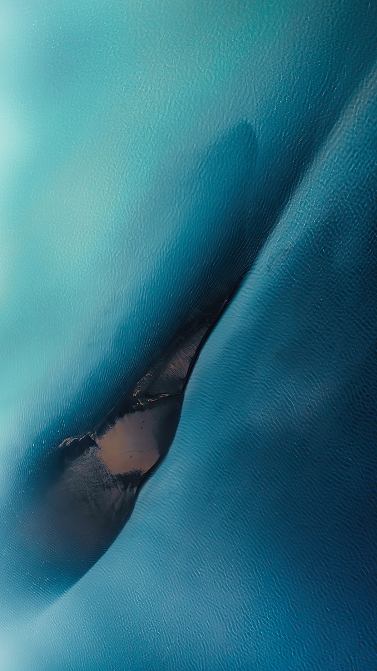 Water, Marine Biology, Hand, Plant, Sunglasses. Wallpaper in 750x1334 Resolution