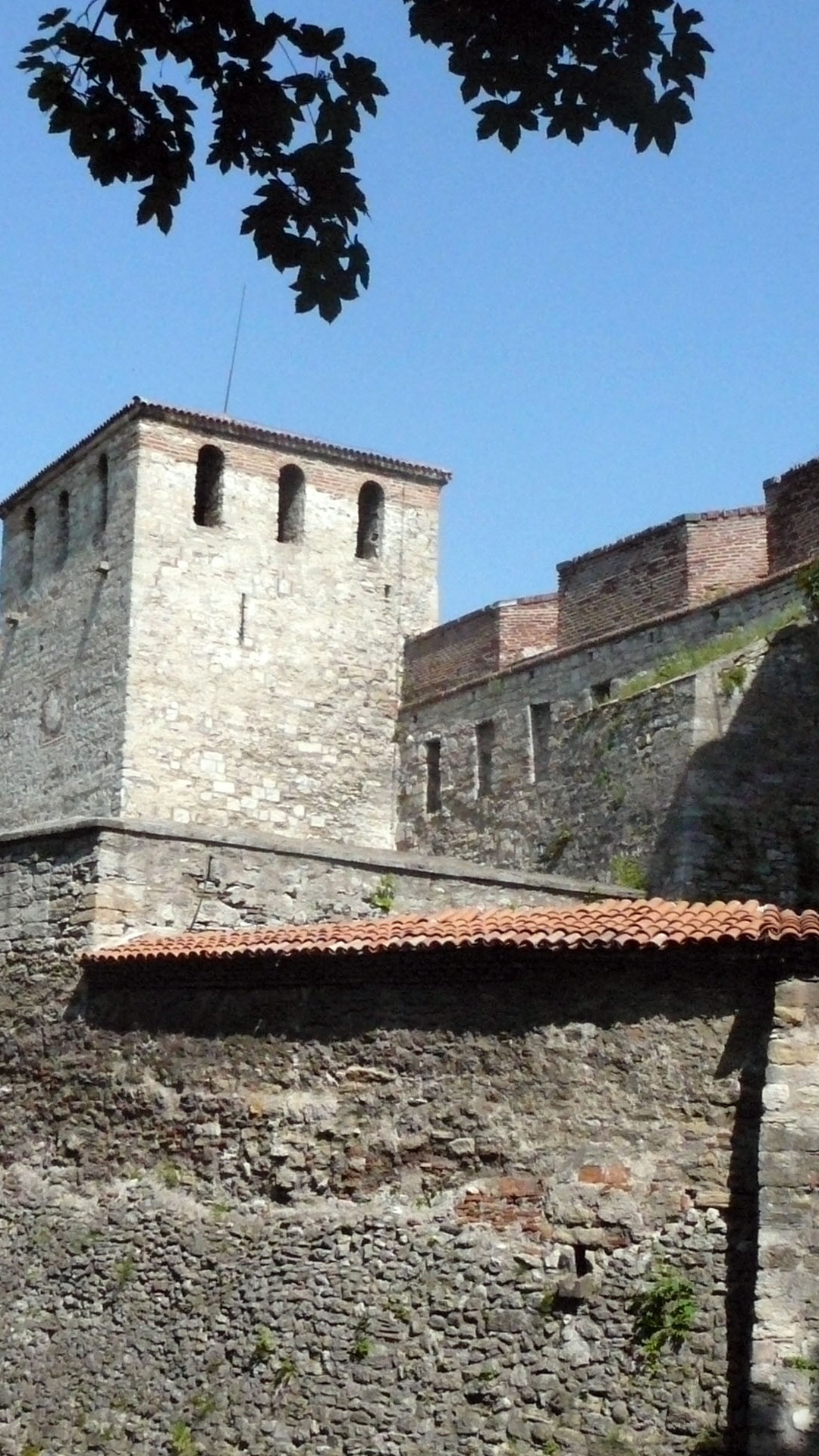 Brown Brick Building Near Green Trees During Daytime. Wallpaper in 1080x1920 Resolution