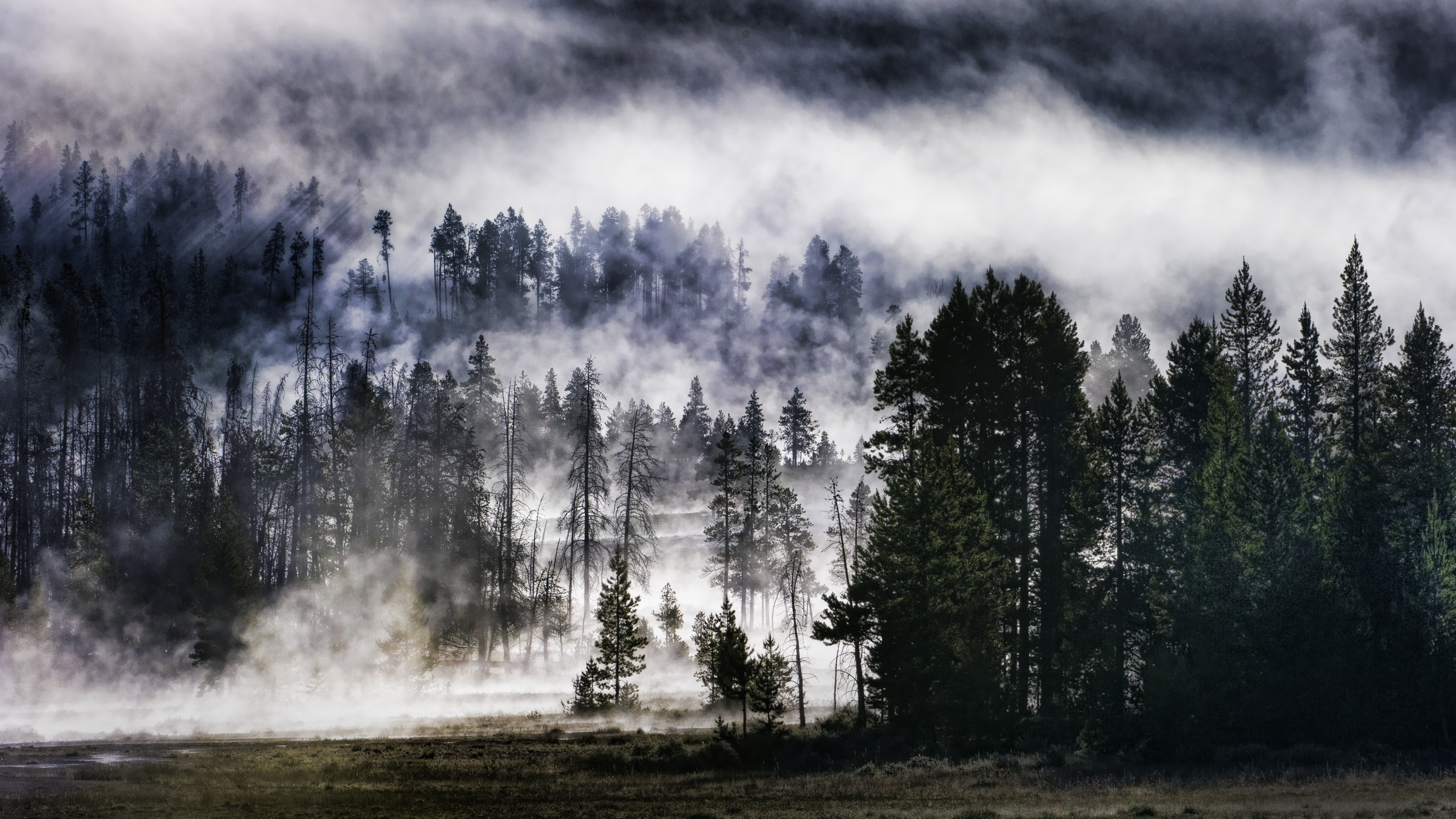 Fondos de Pantalla 4K Ultra HD el Bosque de Nubes, Imágenes HD el Bosque de Nubes, Descargar Imágenes Gratis 3840x2160 Fondos de Pantalla 4K Ultra HD el Bosque de Nubes, Imágenes HD el Bosque de Nubes, Descargar Imágenes Gratis 3840x2160