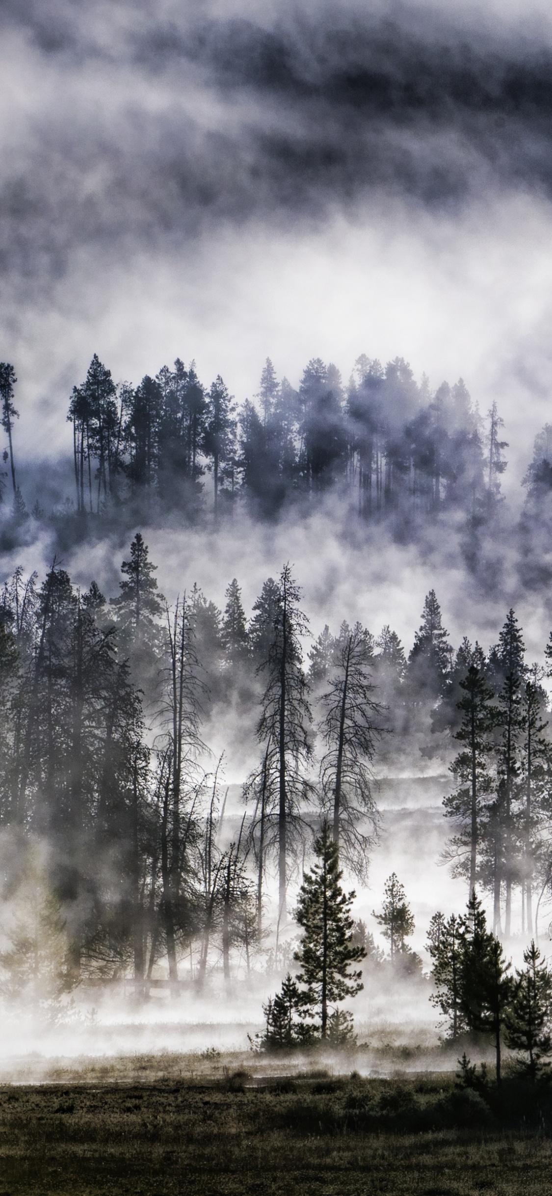 Green Trees Under White Clouds. Wallpaper in 1125x2436 Resolution
