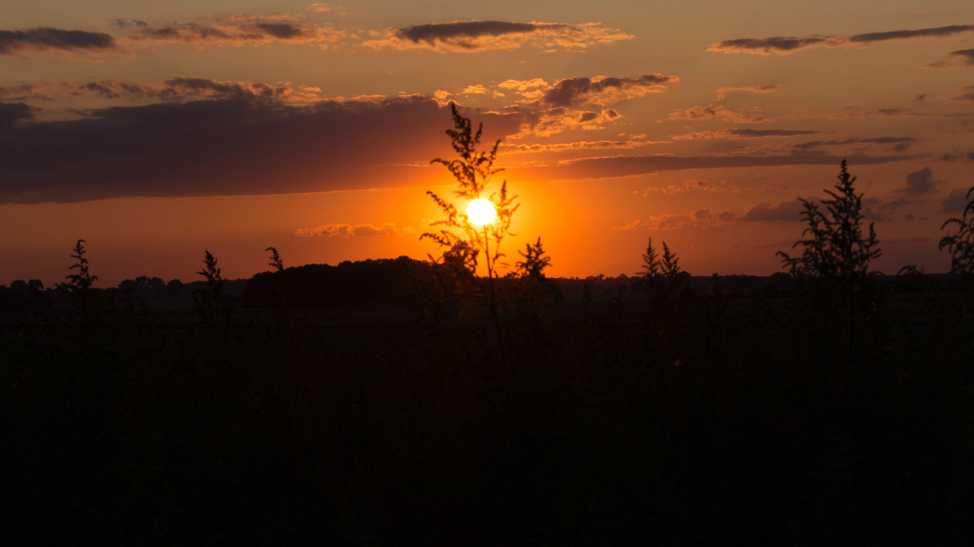 Sonnenuntergang, Afterglow, Sonne, Horizont, Sonnenaufgang. Wallpaper in 1920x1080 Resolution