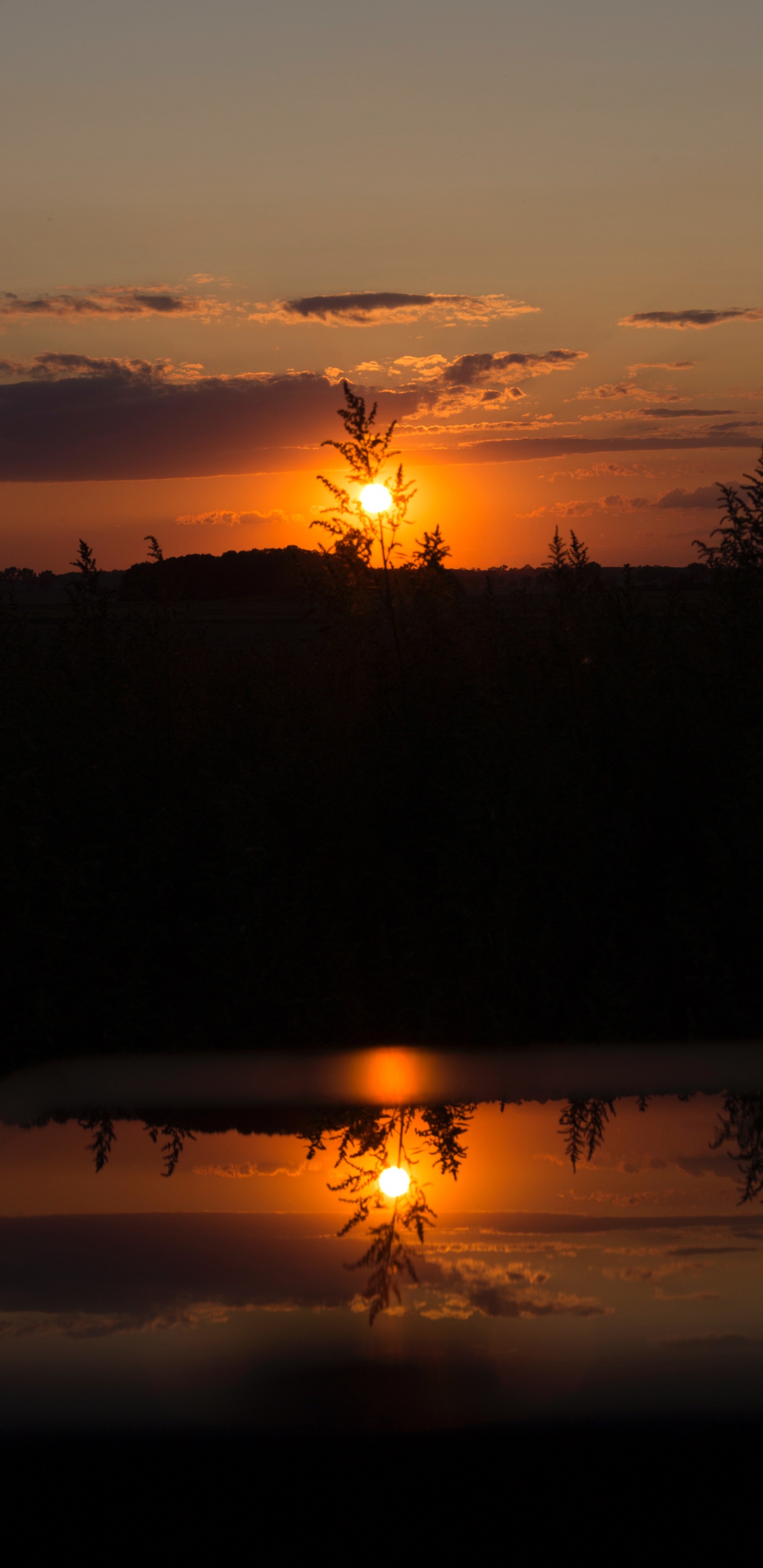 Puesta, Afterglow, Sol, Naturaleza, Reflexión. Wallpaper in 1440x2960 Resolution